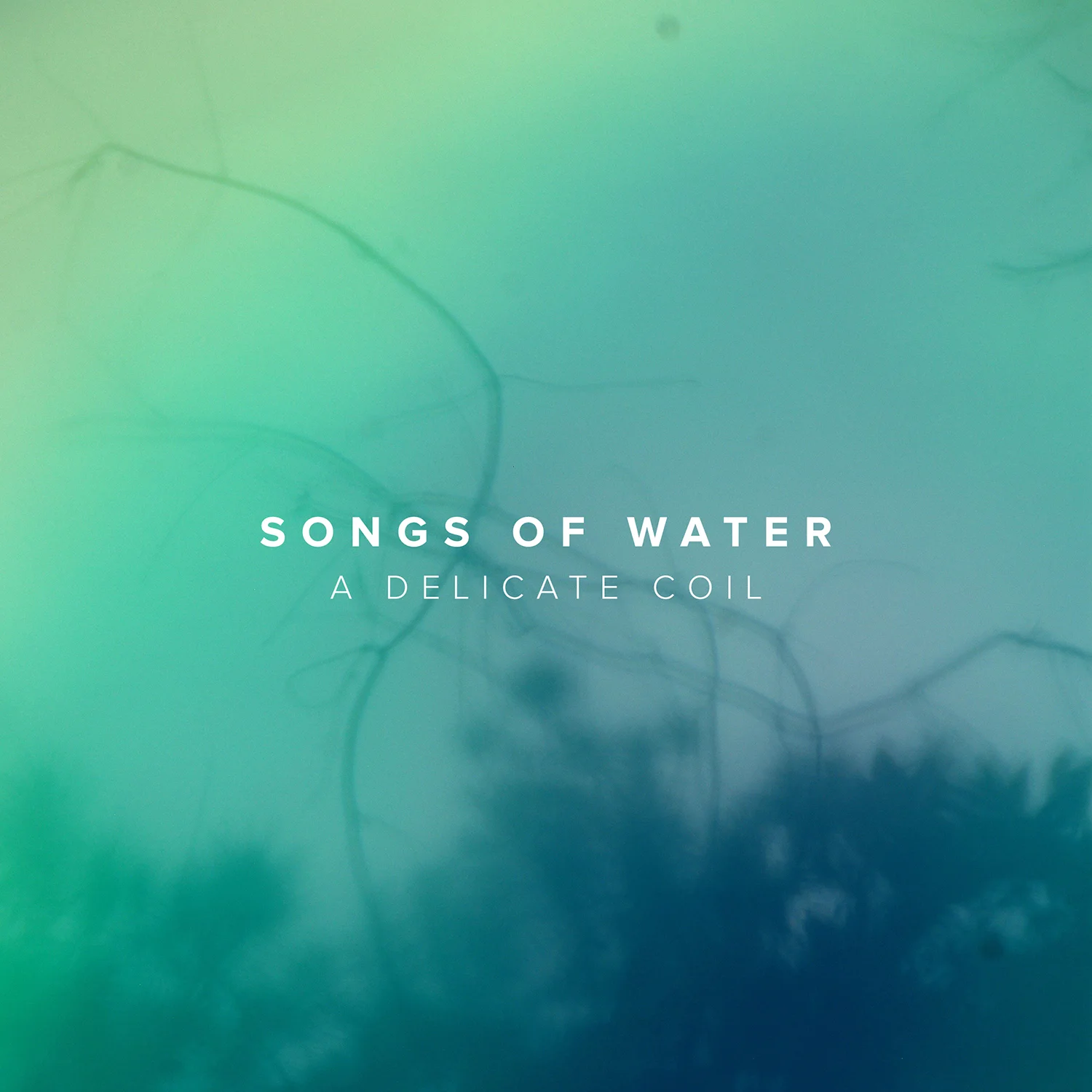ENGINEER, MIXERA DELICATE COIL -&nbsp;Songs of Water