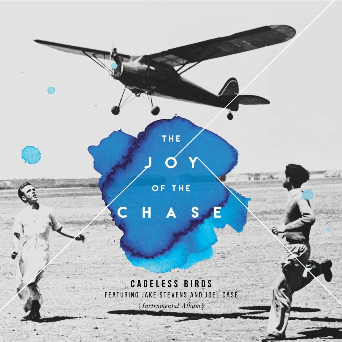 MIXER, ENGINEERTHE JOY OF THE CHASE - Cageless Birds