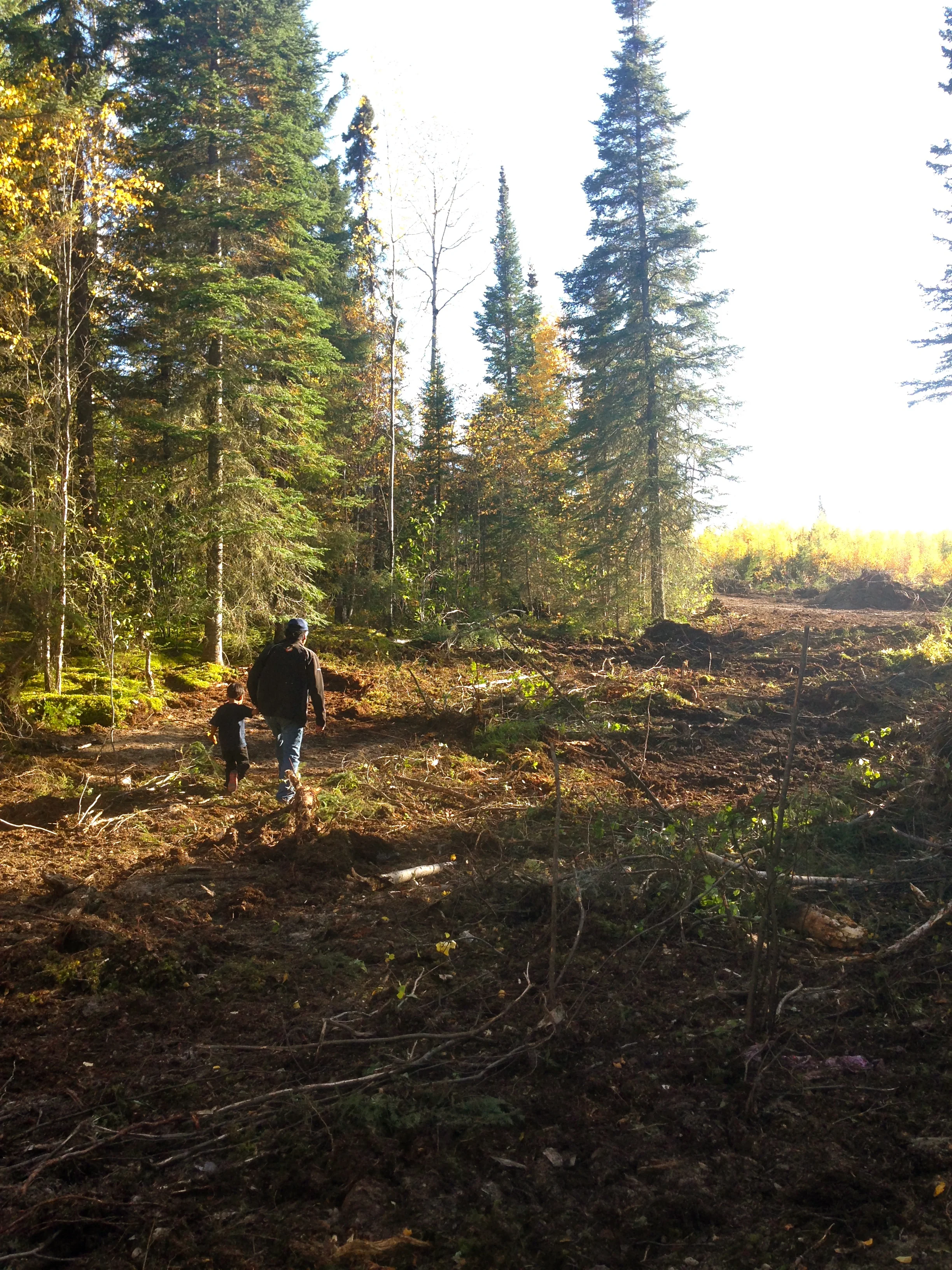 Councillor Morris Knott with his grandson, walking the site of the future Meechim Farm.