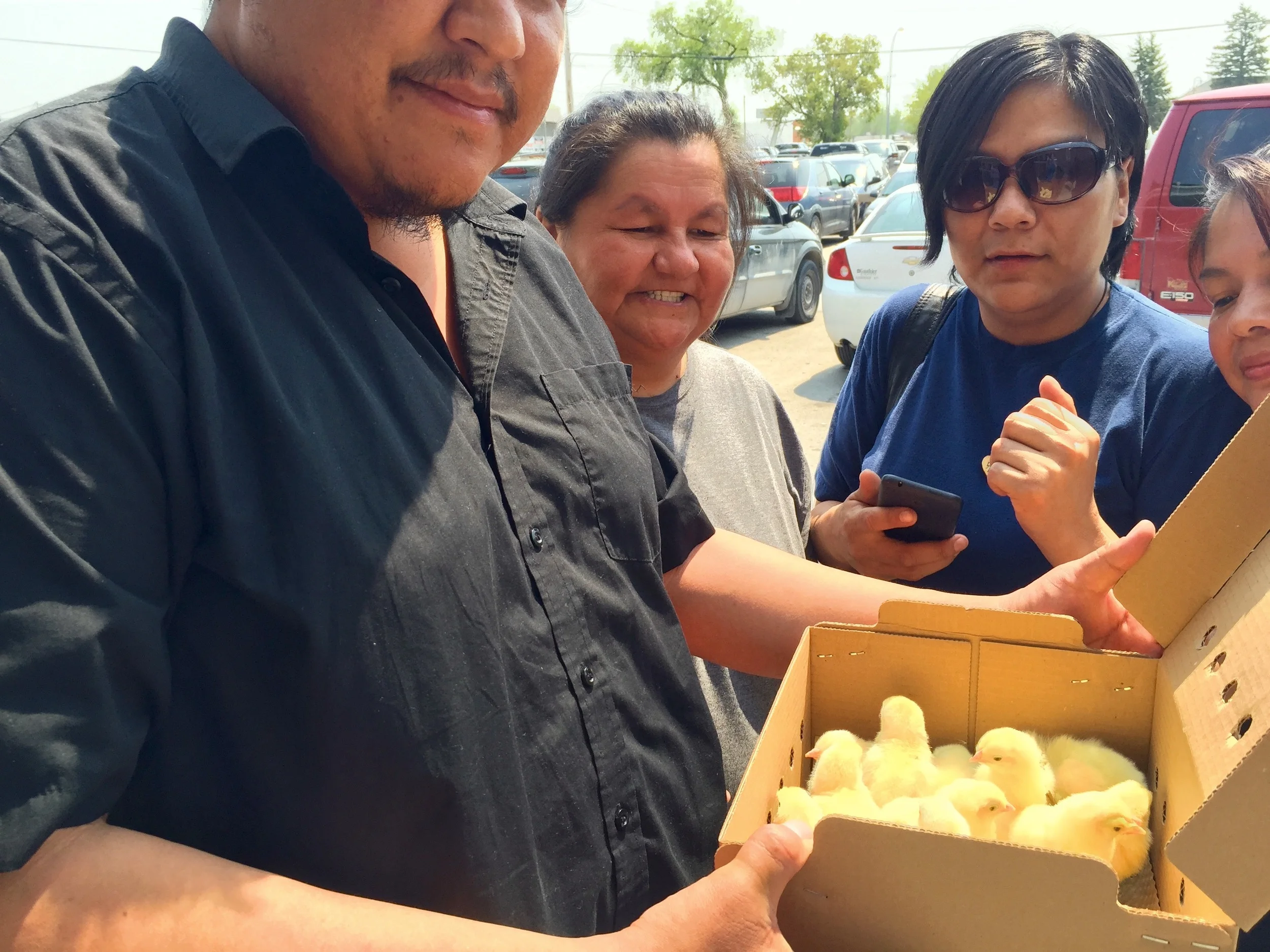 Bidding the chicks 'bon voyage' on their way up to Garden Hill. 