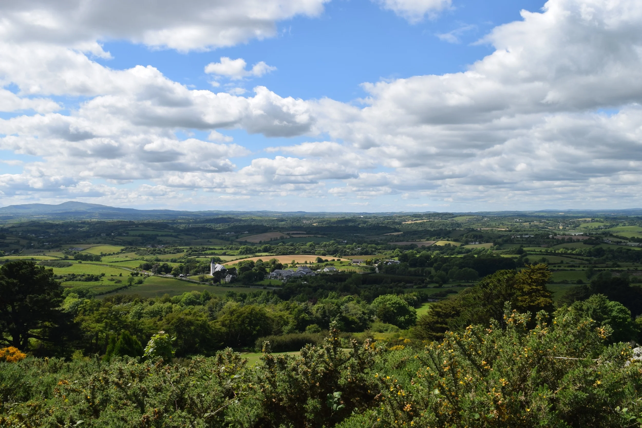 DSC_0797.JPG