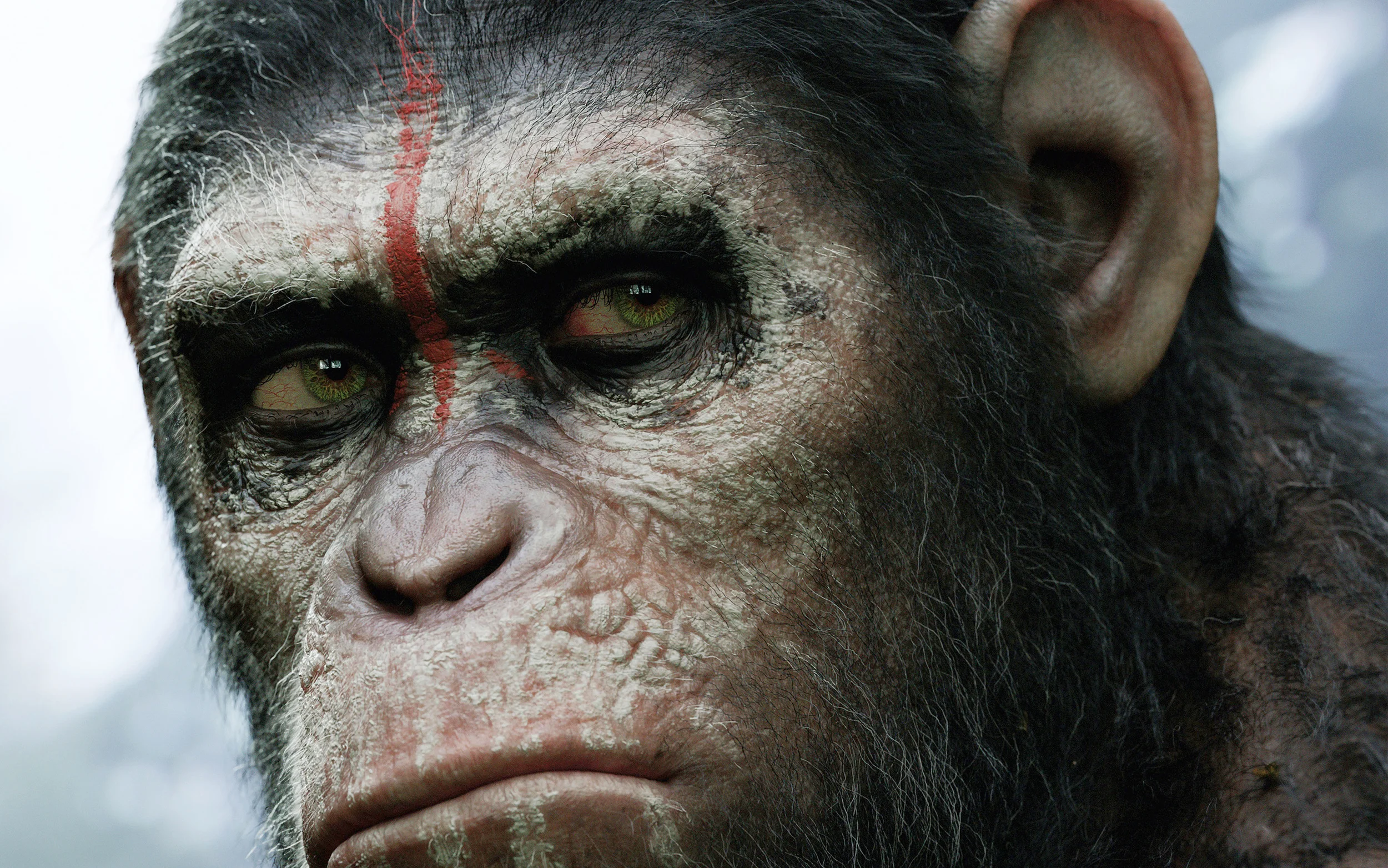 TFR Ticker: Humans Love Caesar And Say ‘Meh’ To Everything Else