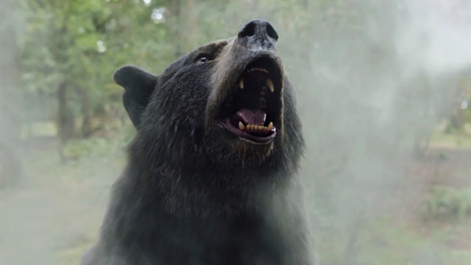 TFR Ep. 646: Cocaine Bear, EO, 5 Favorite Movie Animals episode artwork