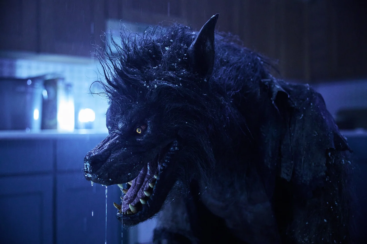 TFR Ep. 738: Werewolves, 5 Favorite Genre Actors episode artwork