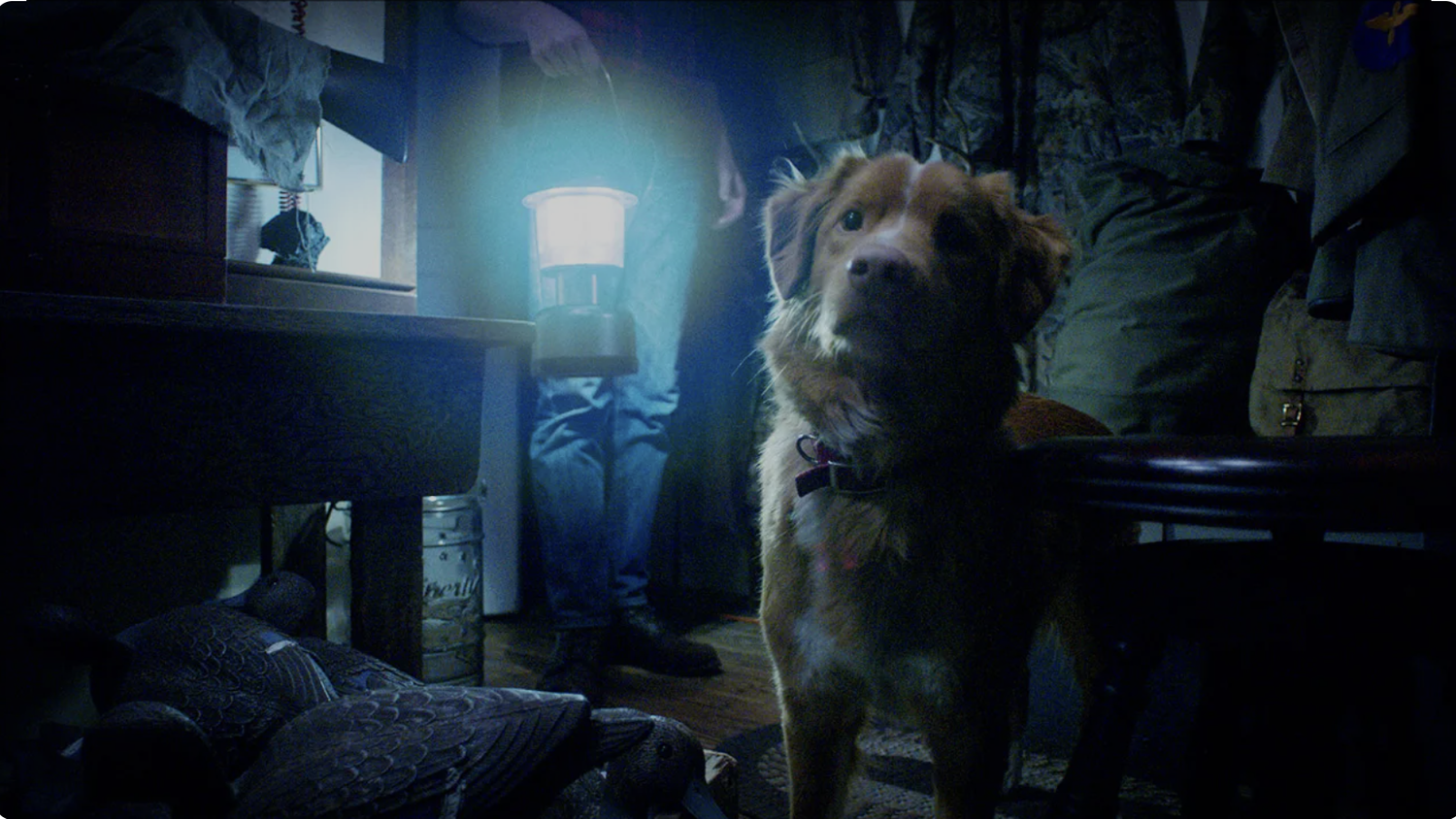 TFR Ep. 782: Good Boy, V/H/S: Halloween episode artwork
