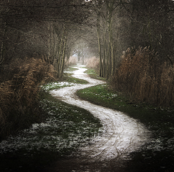 path pic.jpg
