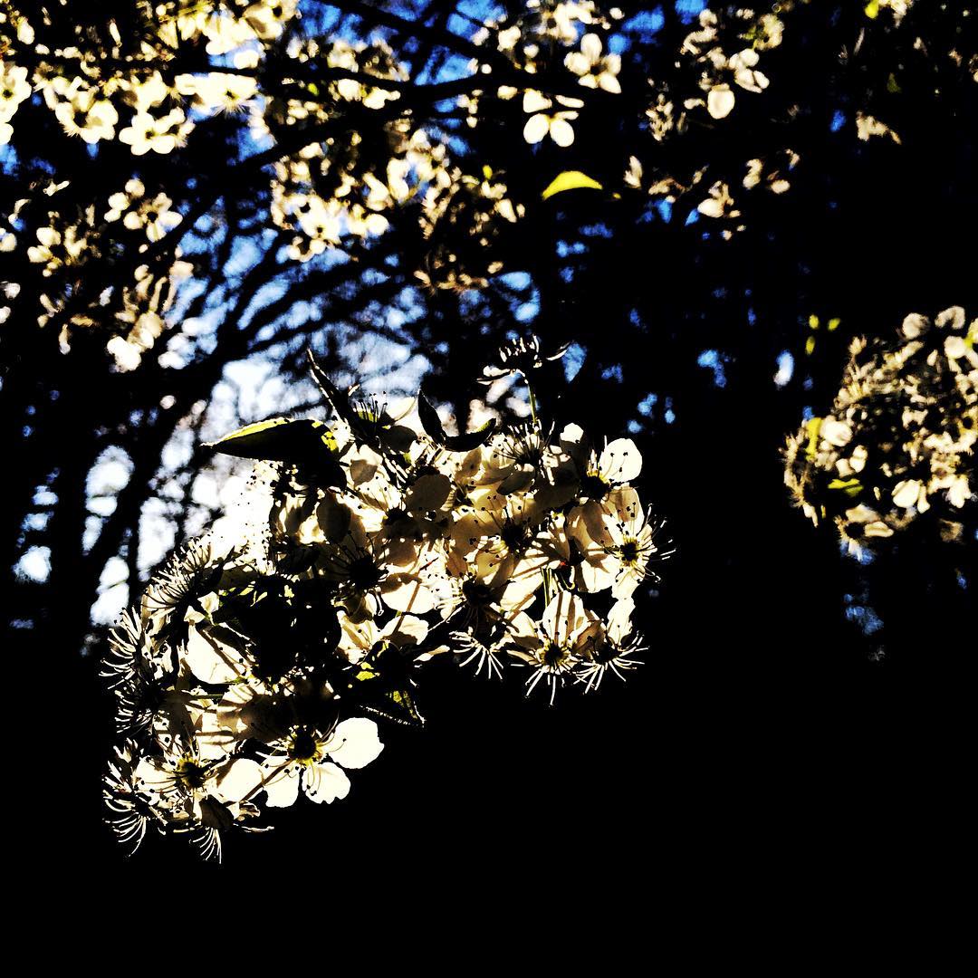 Sometimes you work hard, and no one sees you. And it’s real work, too. Your hands hurt. Your back bent and throbbing. You promised yourself. You will finish. And you promised that voice in your head the same. Sometimes you work hard, and it seems like the work won’t matter. Your mind hurts. And for what? To finish? Something greater? Perhaps. My friend @officiallaceysturm sings about experiencing an exploding kind of joy: “I may explode, but you feel like forever.” I think this is that something greater. The recesses of solitary work brings us into another dimension, where our vocatio resonates with its eternal origin. Read more | Link in Bio #bebrilliant