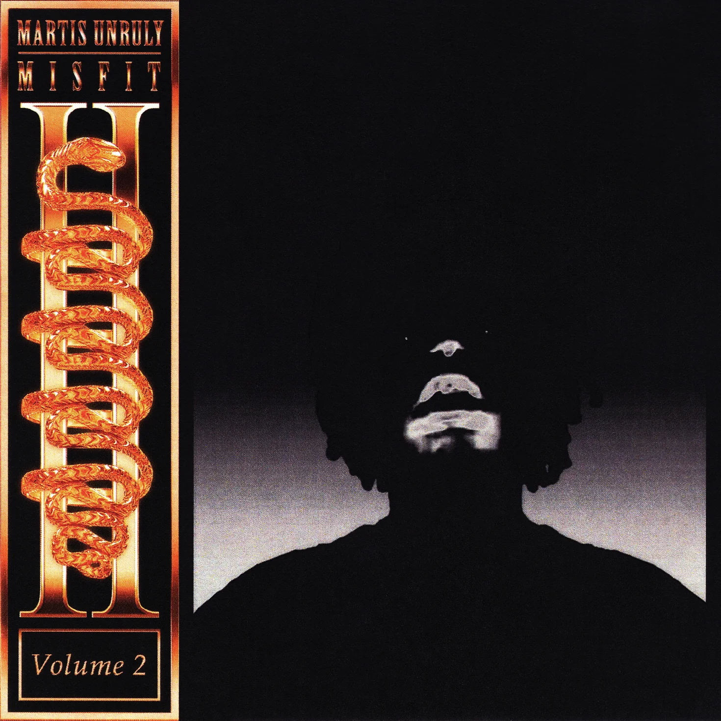 (Cover) Martis Unruly - Misfit 2.jpg