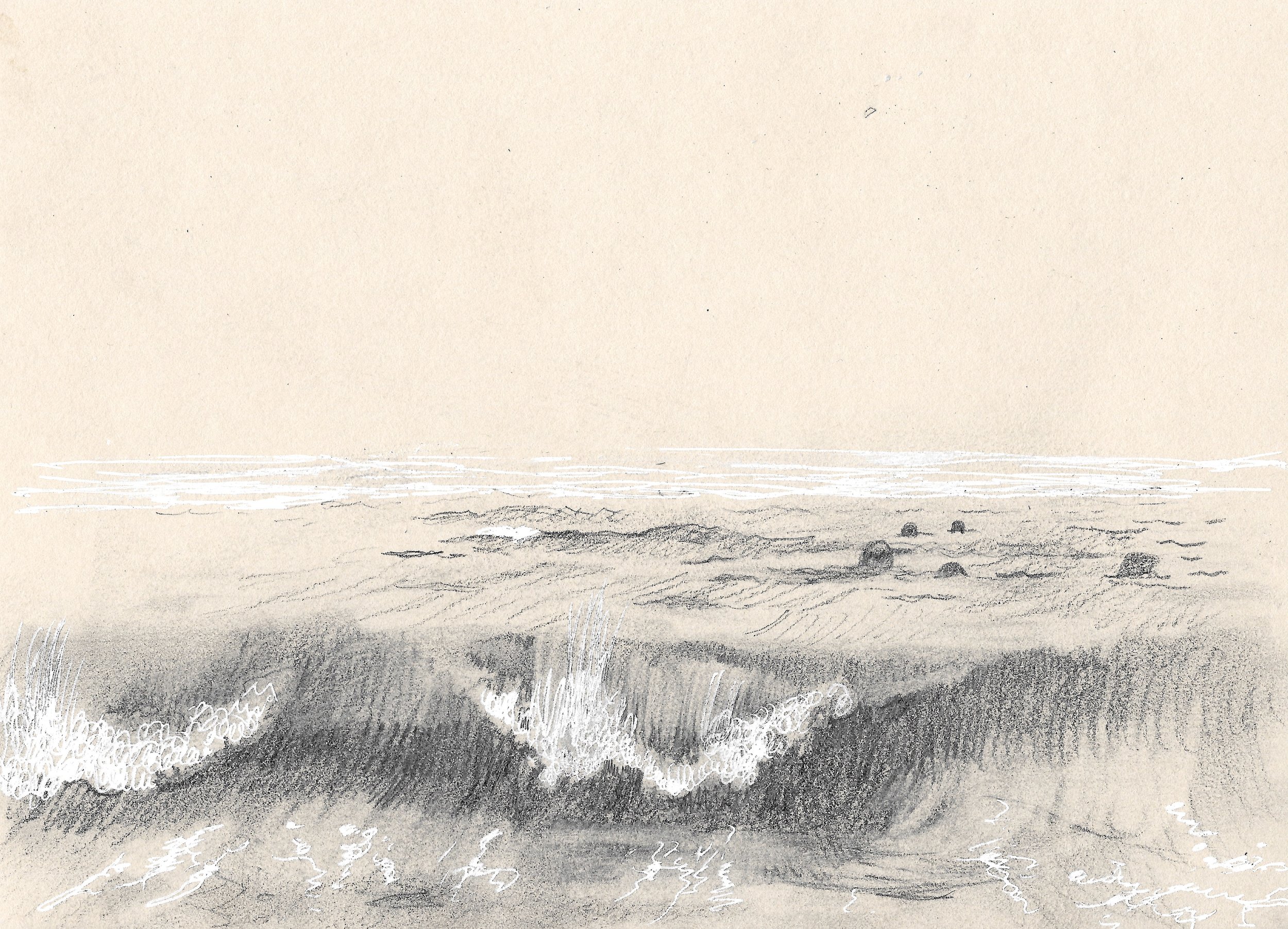 Seals Watching, North Beach