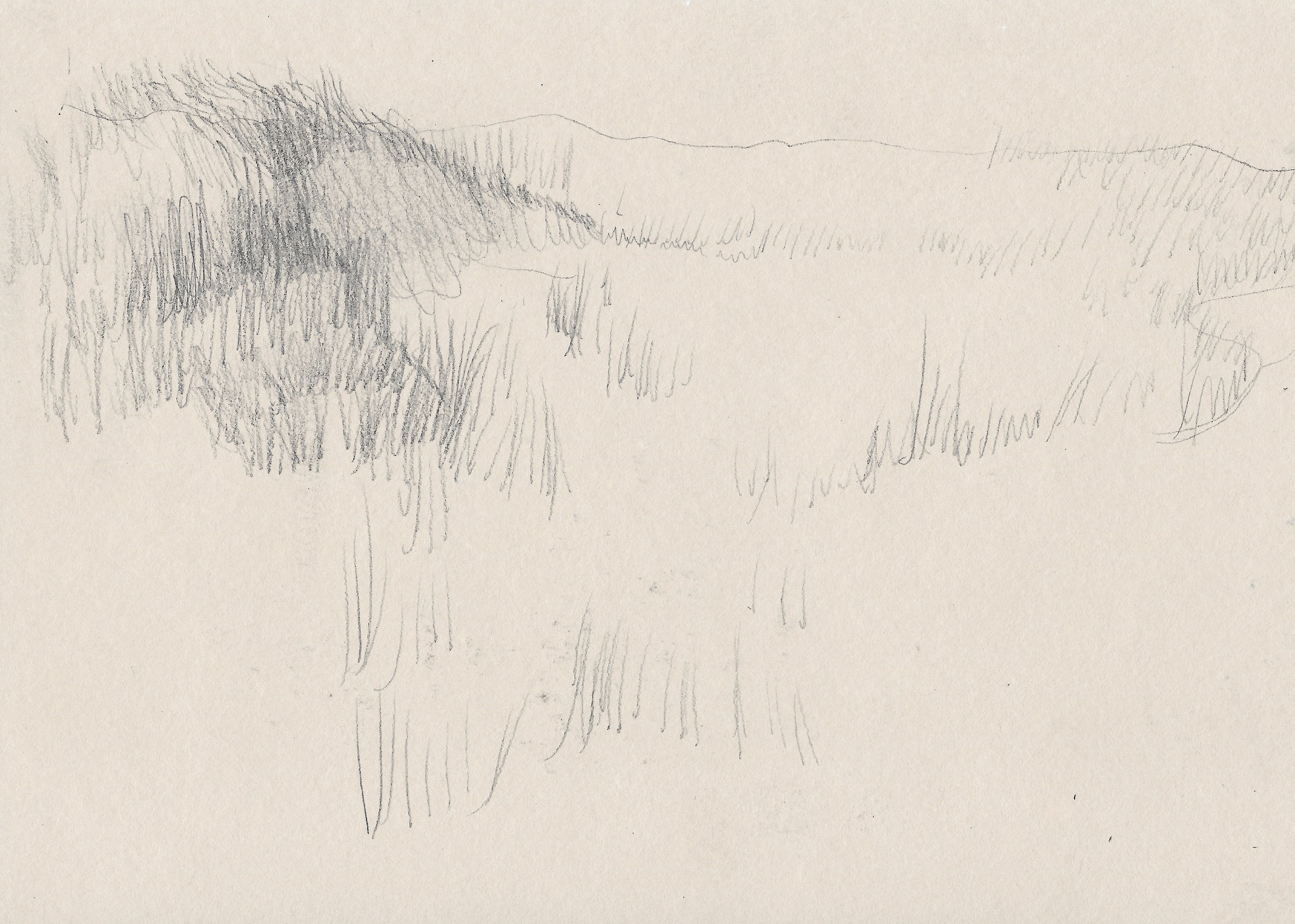 Sketch of a Grassy Dune