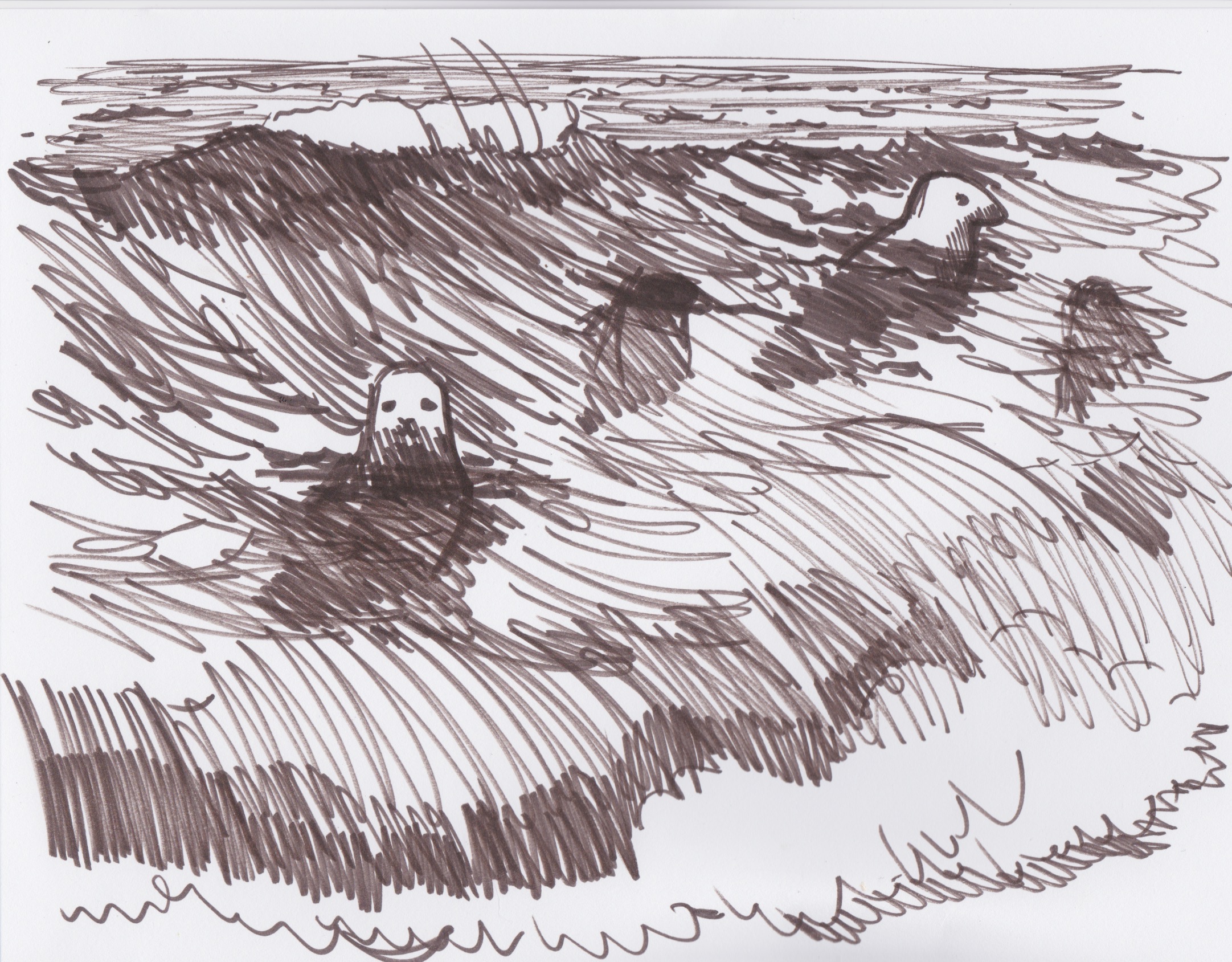 Seals in the Waves