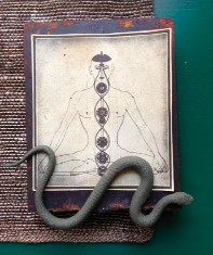 Yogi Snakeman.jpg