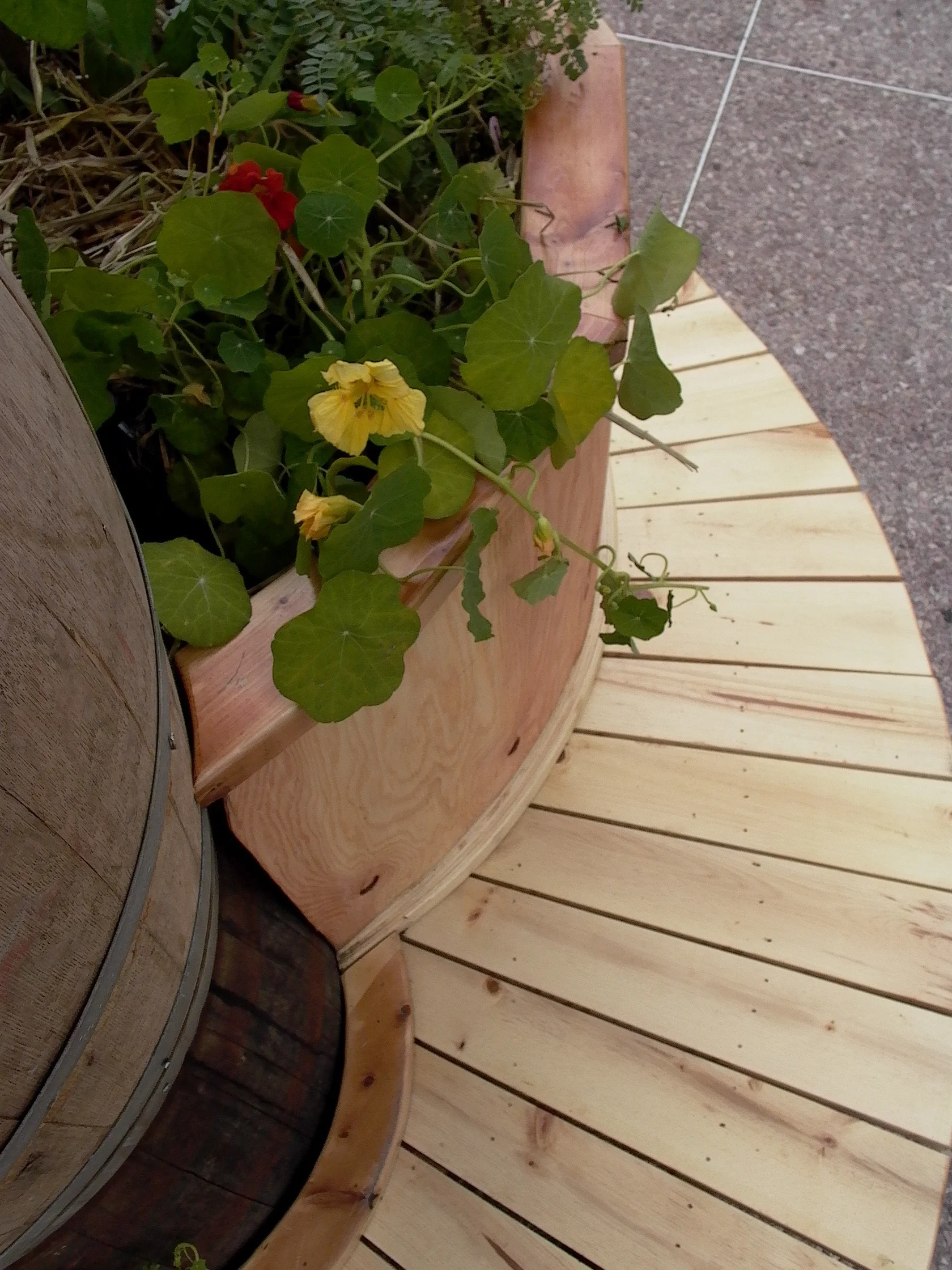 3_Sal's EYA planter_detail.jpg