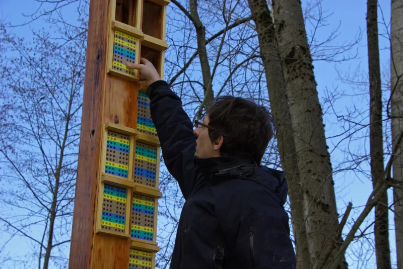 6_090308 Mason Bee Project Jerichco Park.jpg