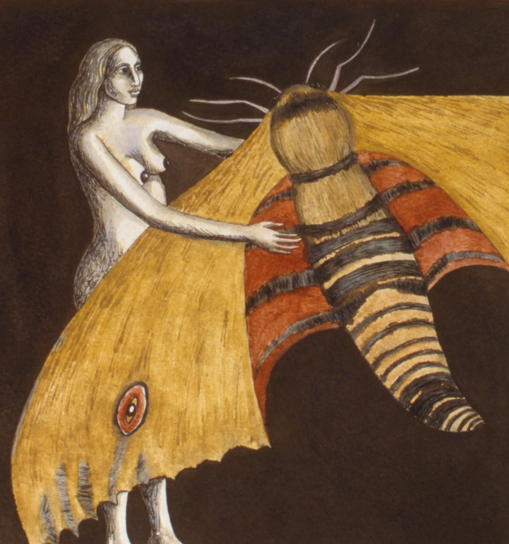 The moth and I, 1999