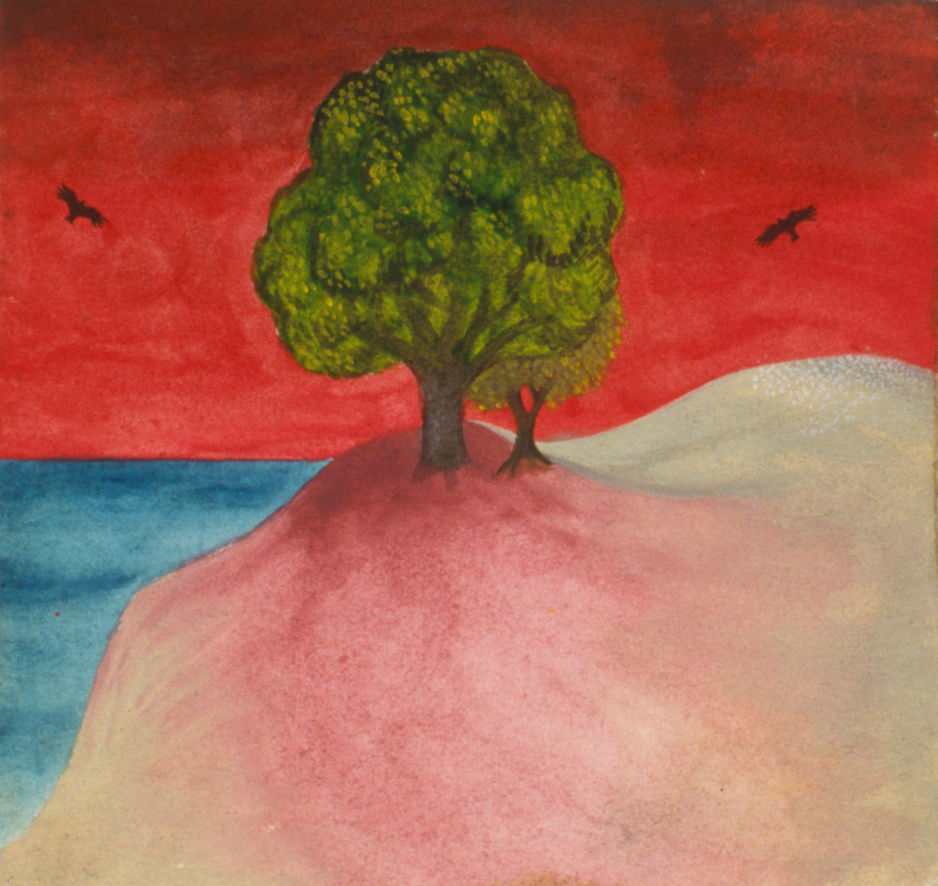 On top hill, 1999