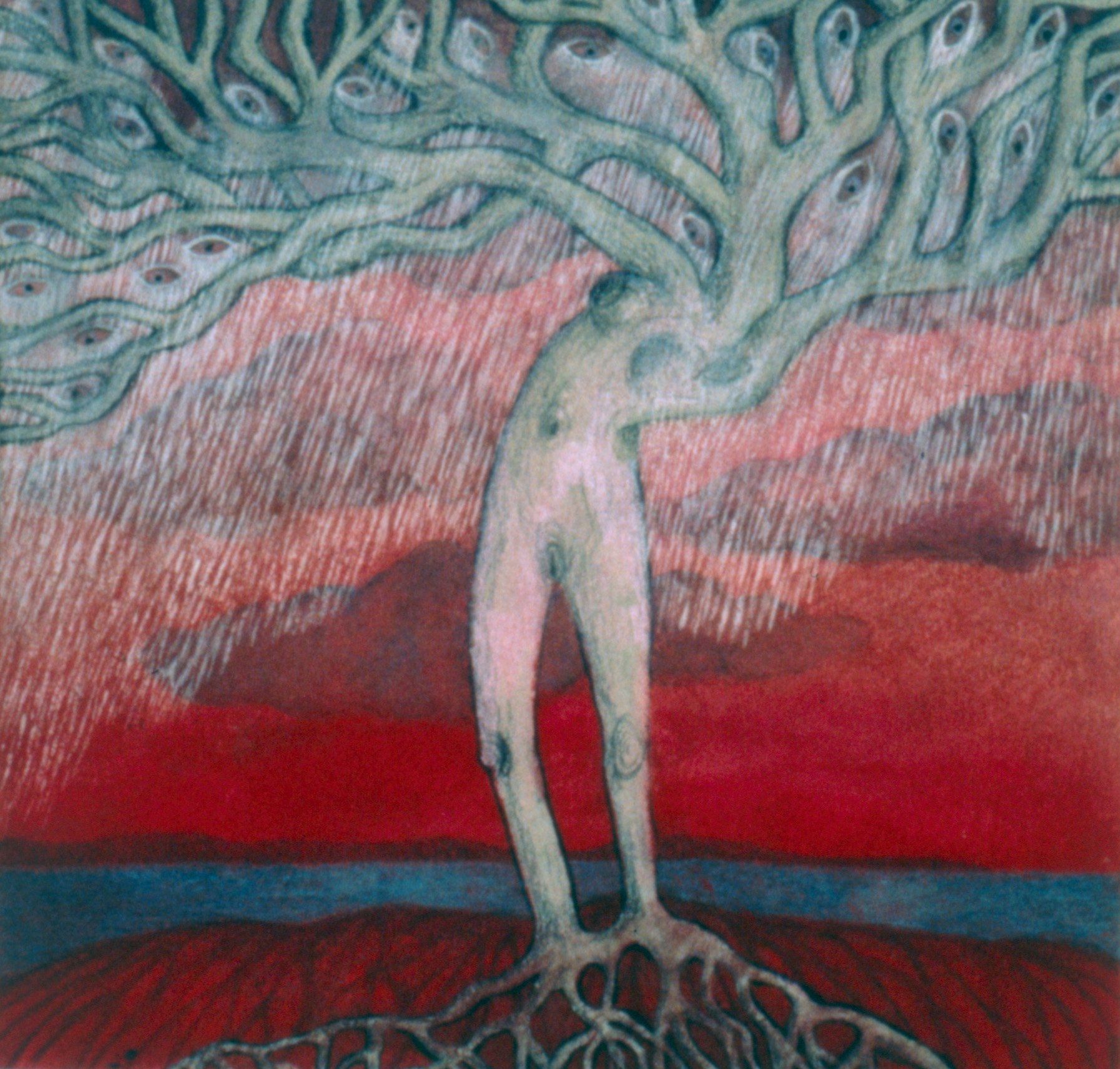 The crying tree, 2001