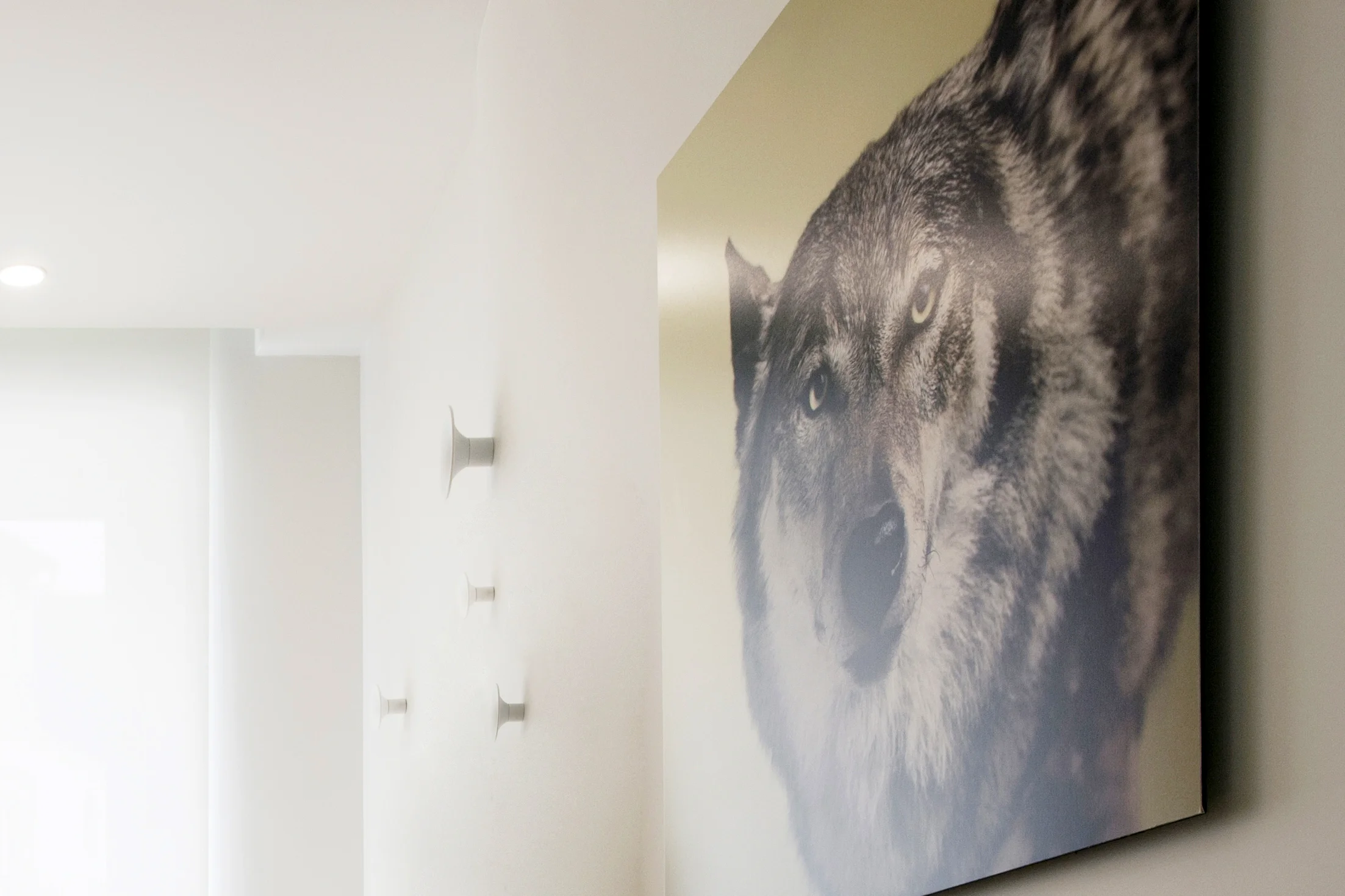 projet-paris-desiron-lizen-photographie-Guillaume-Dutreix-Paris21d.jpg