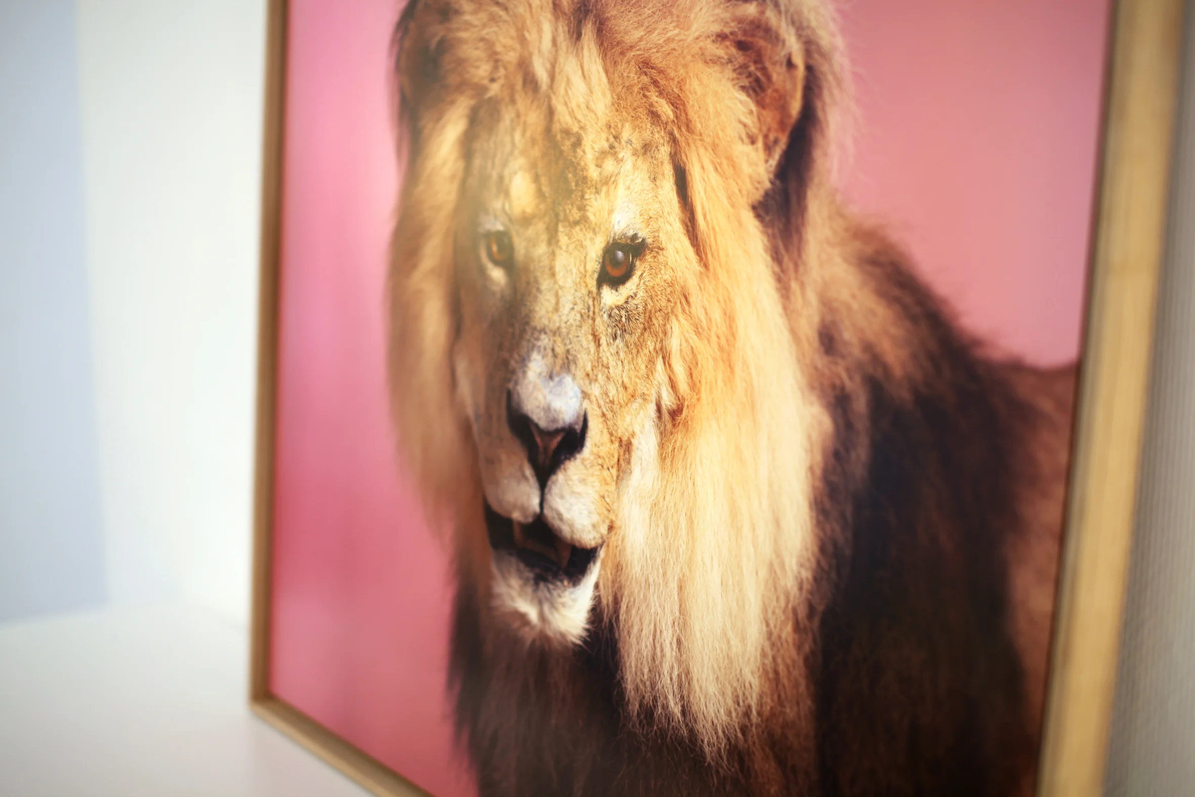 LION.jpg