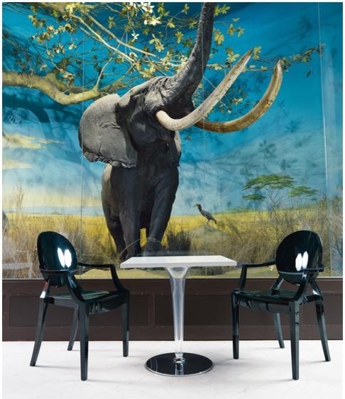 Fauteuil Louis Ghost 262€ 223€