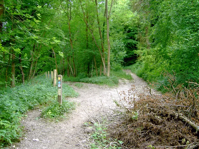 Photo: Wikimedia Creative Commons