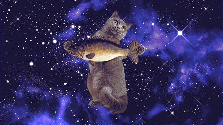 cat04_2.gif