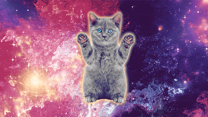 cat22_2.gif