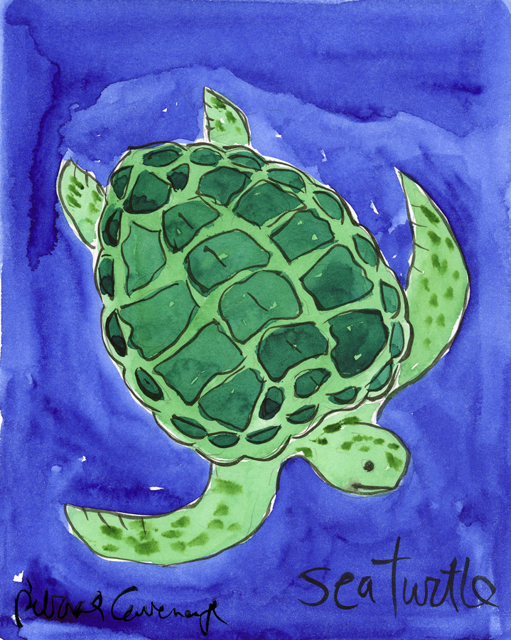 sea turtle