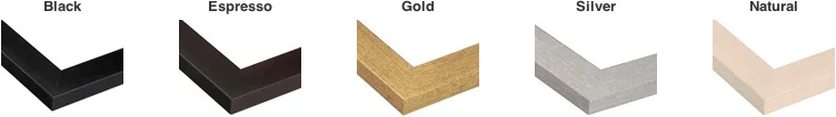 Available Frame Options