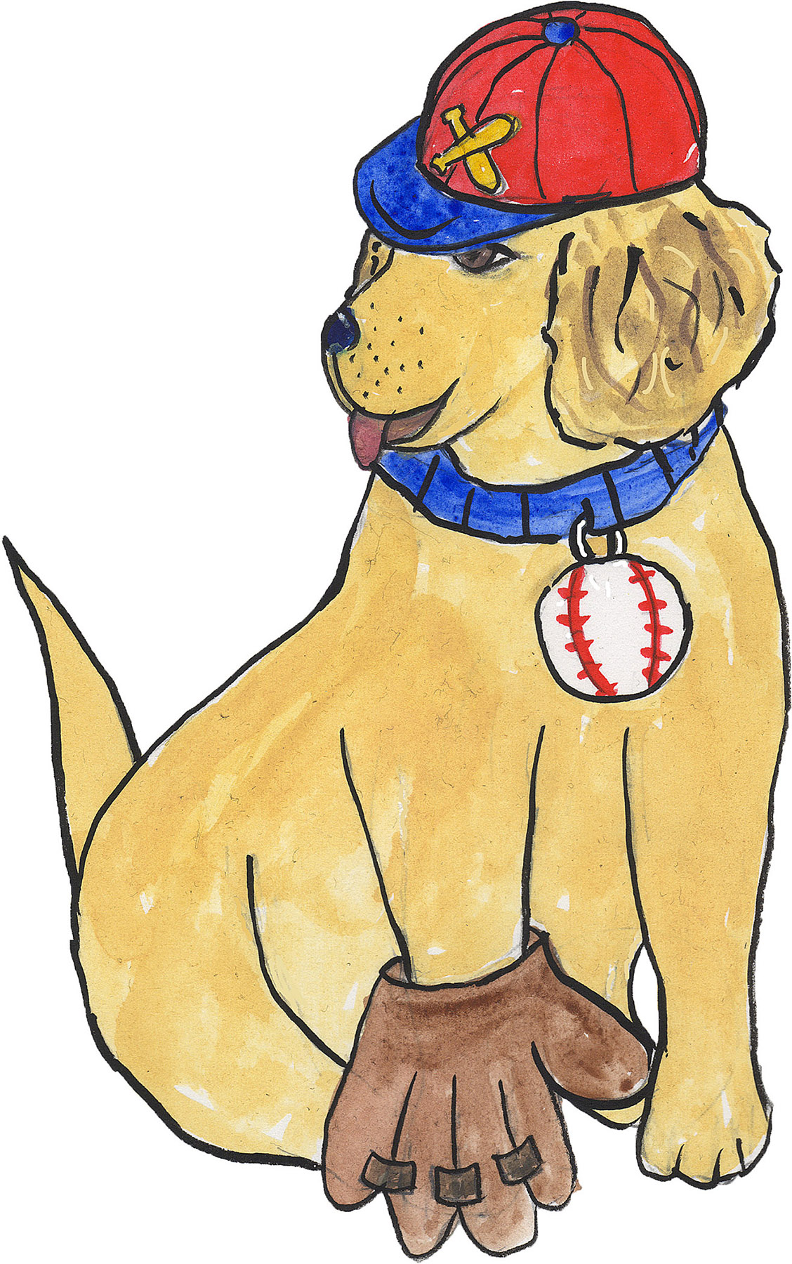 Z6 baseball dog copy.jpg