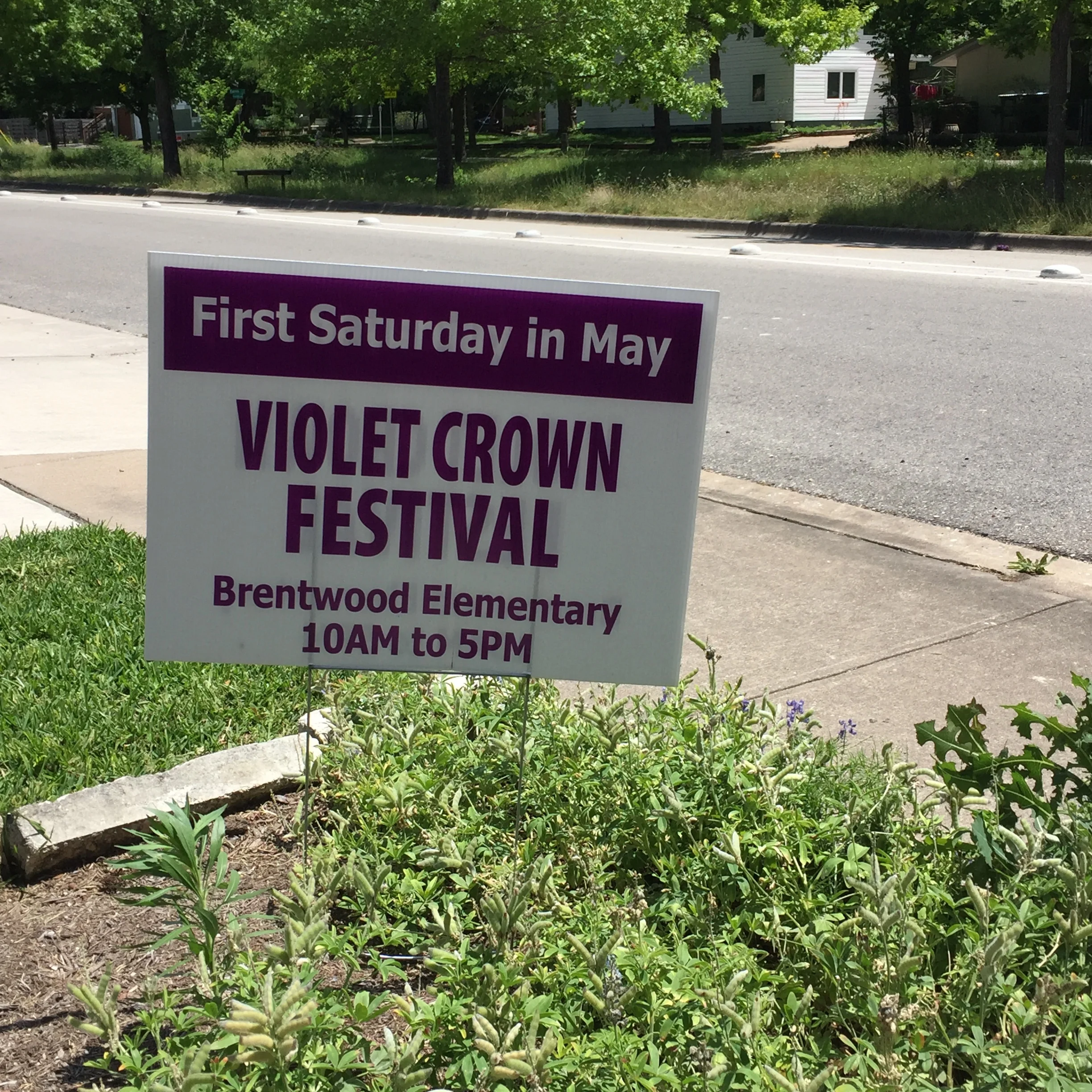 Violet Crown Festival - Austin
