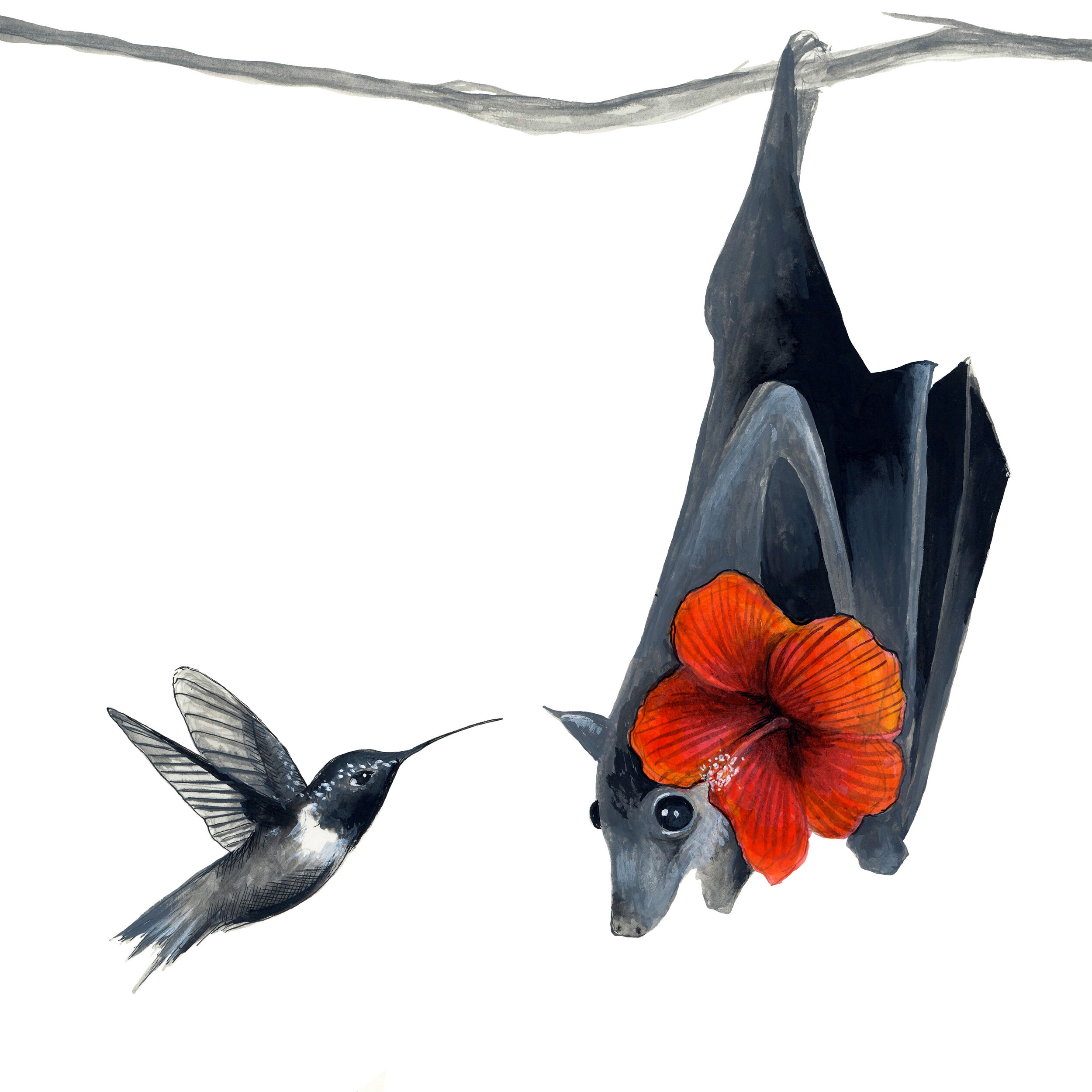 Deann Acton, Bat and Bird, watercolor or ink on paper, 2019.jpg