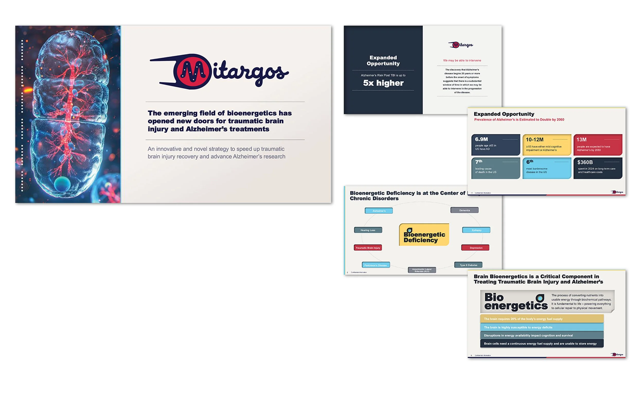  Brand strategy and investor presentation for Mitargos biotech startup. Developed a brand identity and pitch deck for investor meetings. 