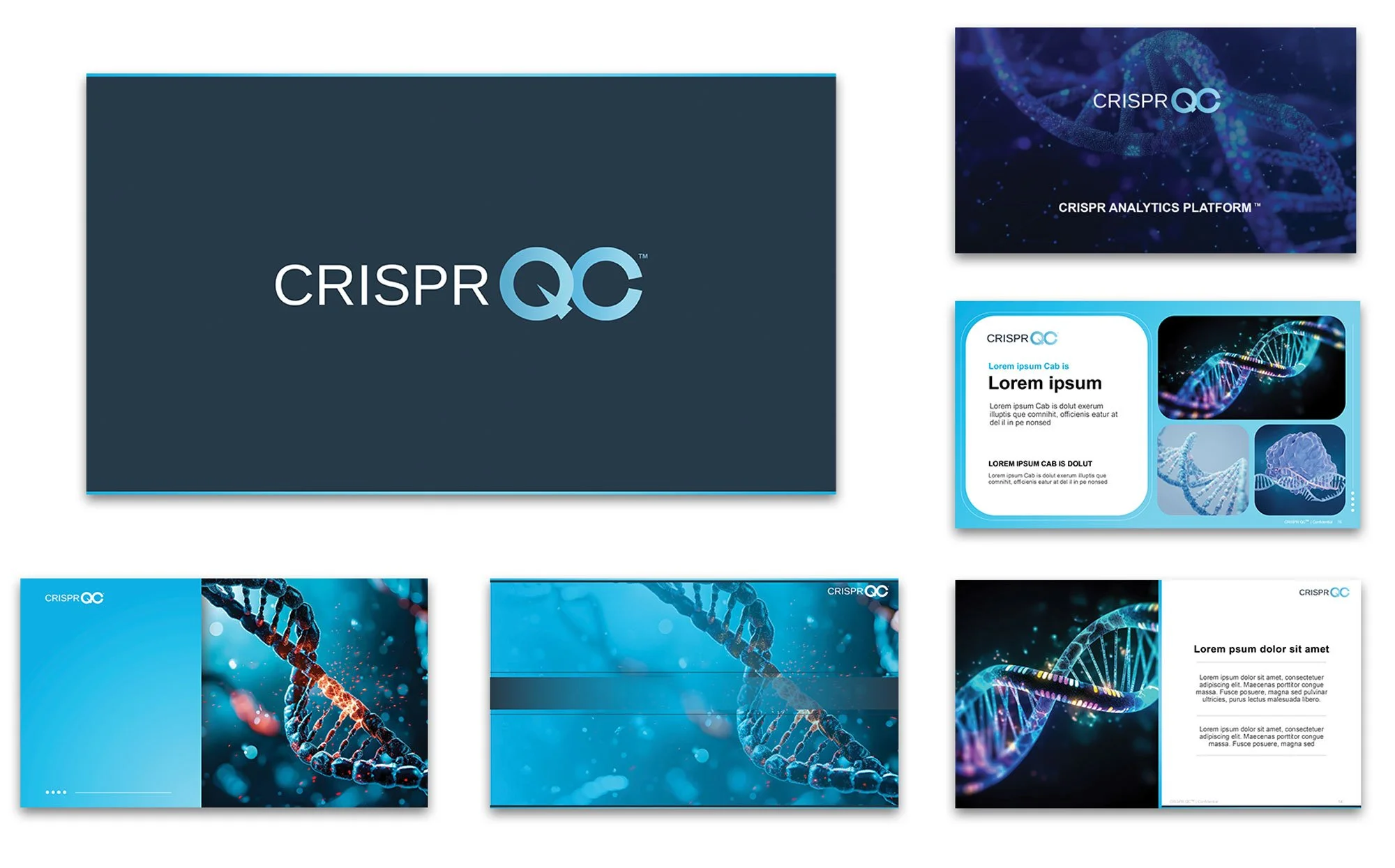  Brand presentation system for CRISPR. Created comprehensive PowerPoint template with branded layouts, establishing visual consistency across company presentations. 
