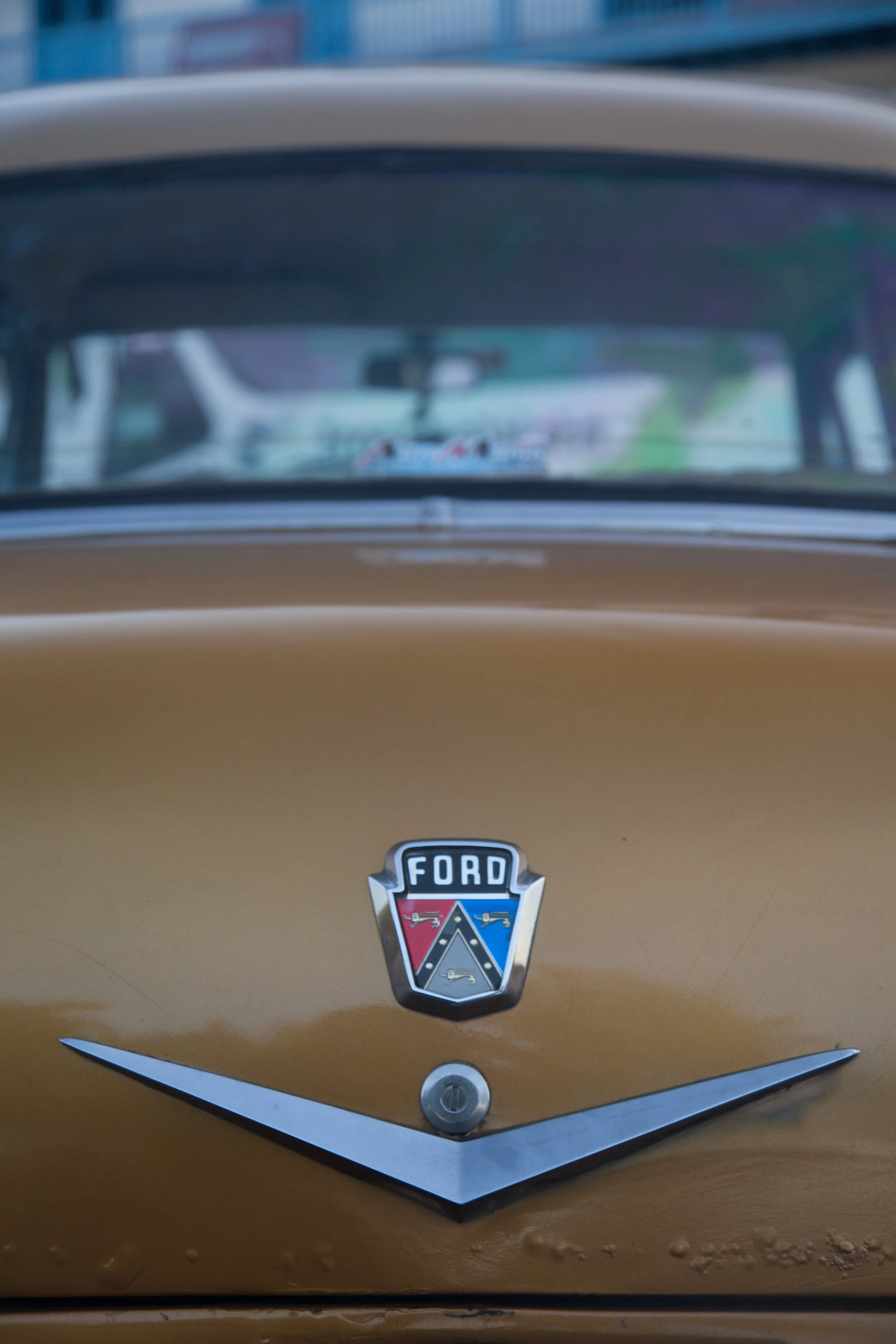 _MG_0513.jpg