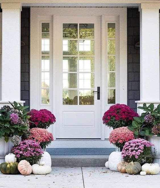 image source: Instagram- One Kings Lane