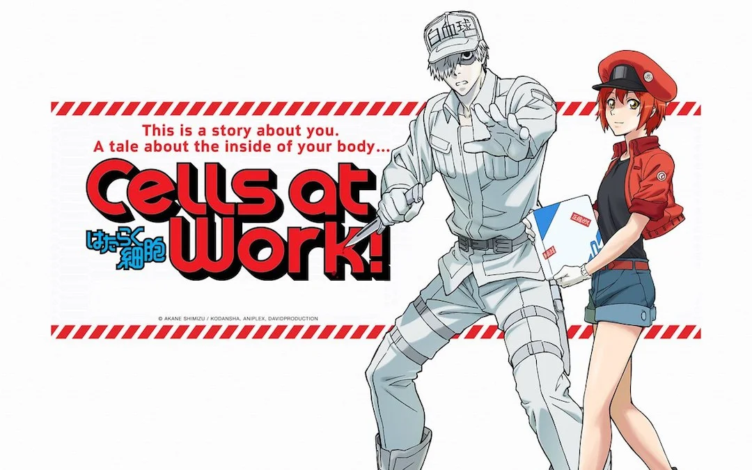 CellsAtWork.jpg