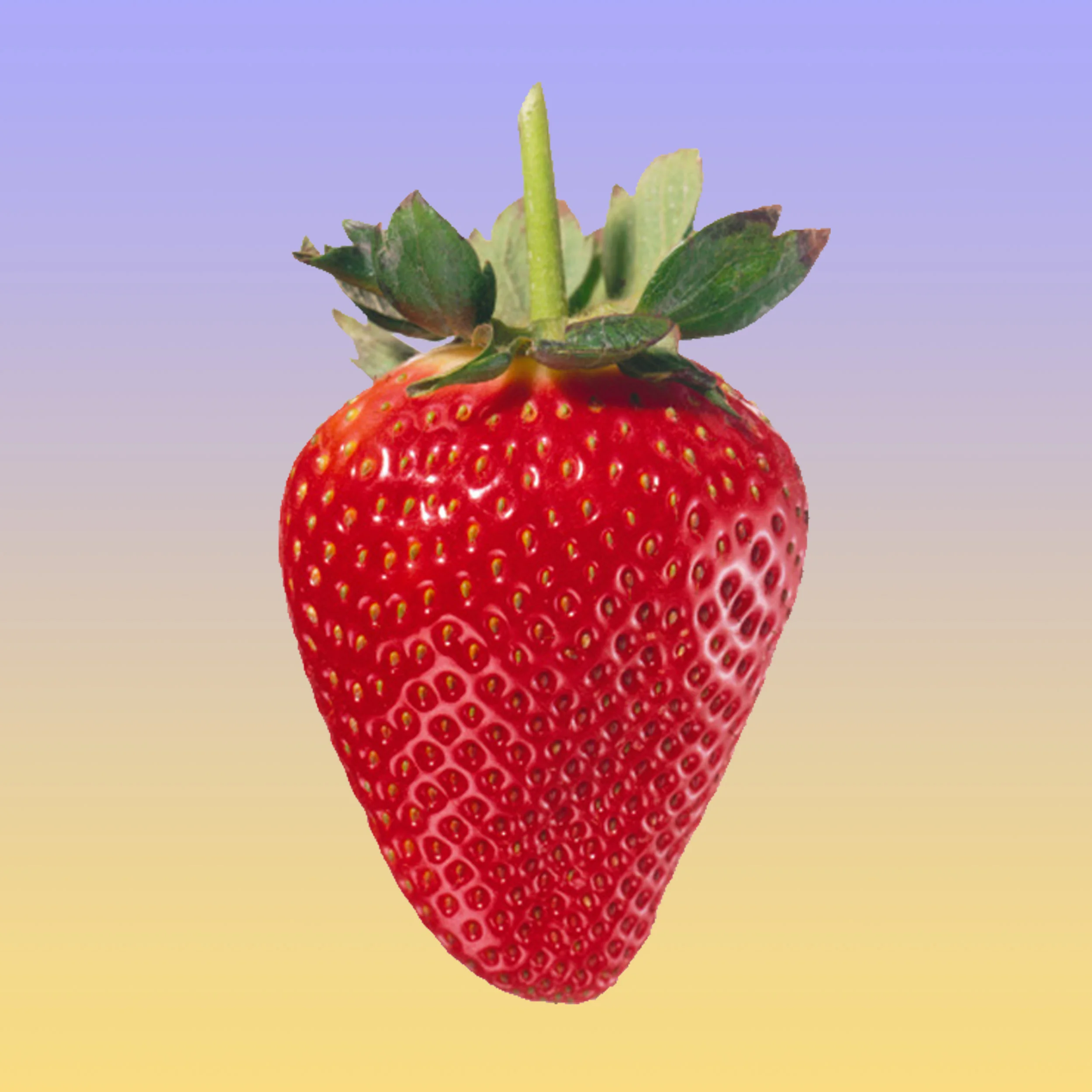 Thumbnail_HotelJen_Updated.jpg