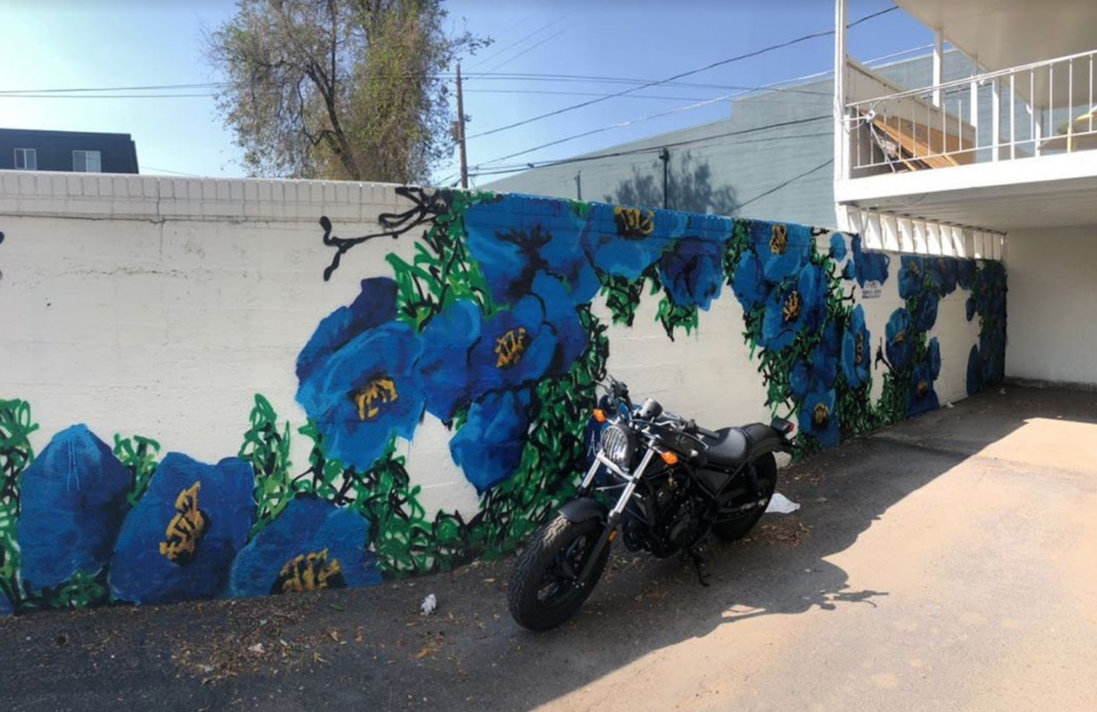 Greta_mural_ashleyJoon_wb_2019.png