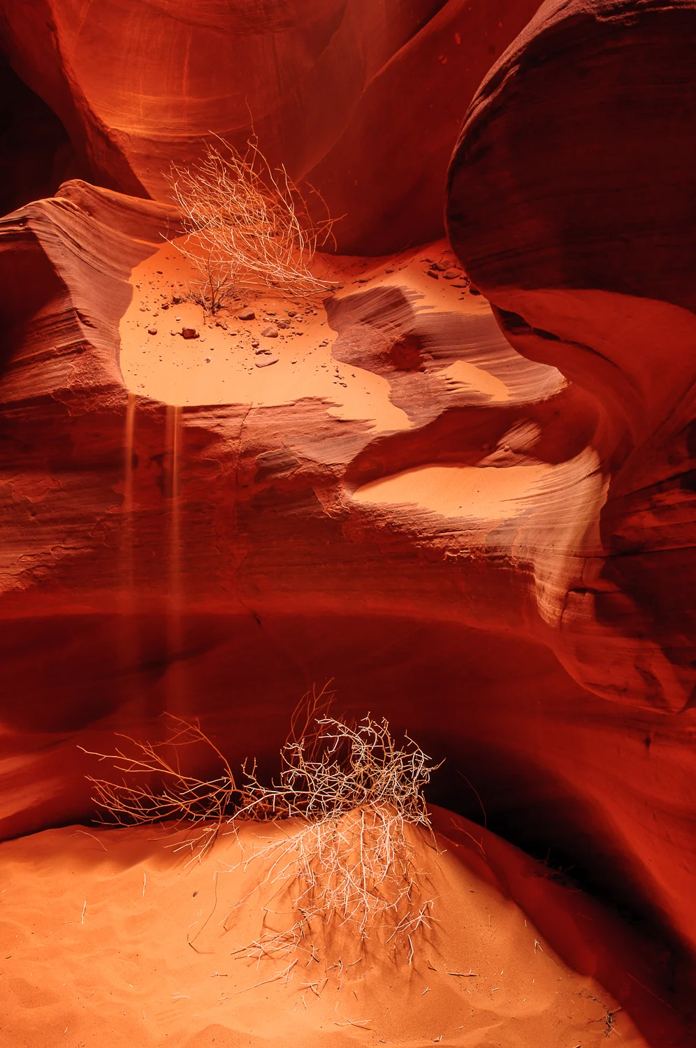 Upper Antelope Slot Canyon - Page, Arizona