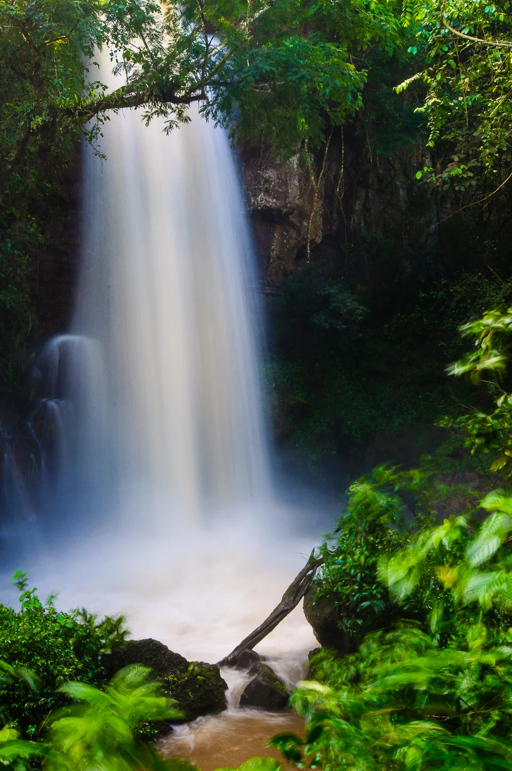 Iguazu National Park, Argentina