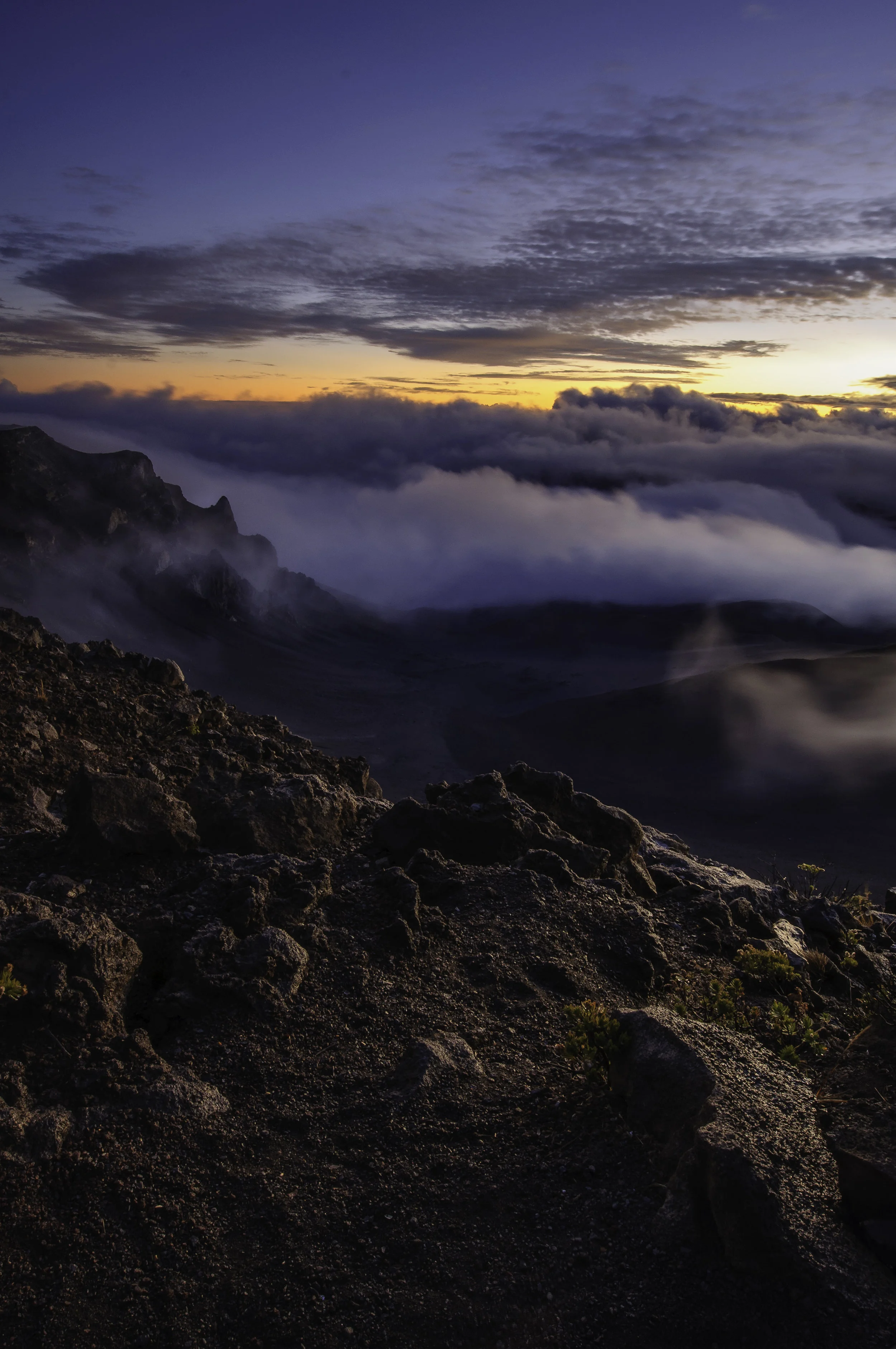 DSC_0264-Edit.jpg