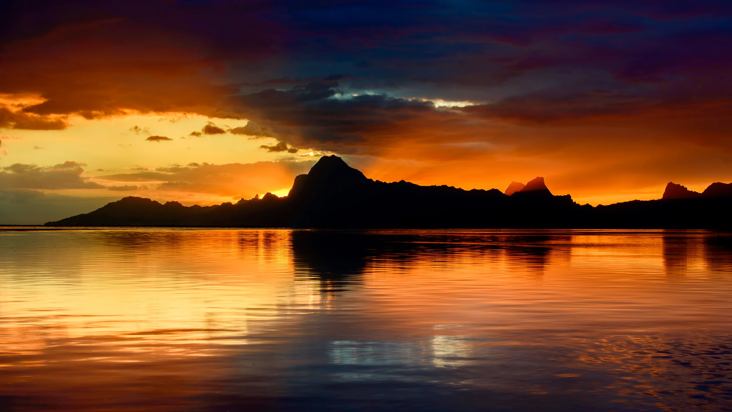 DSC_3539-Edit.jpg