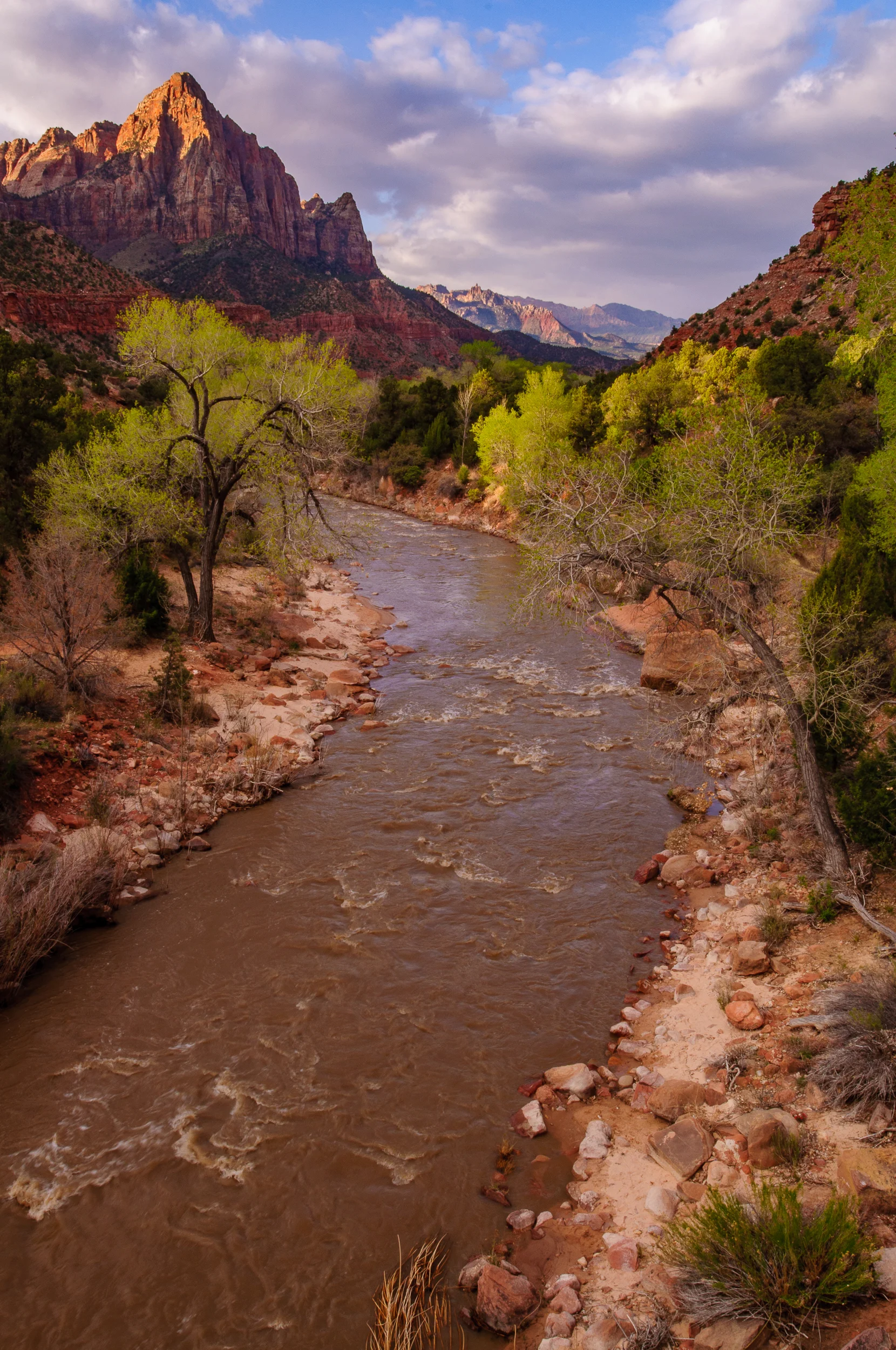 DSC_0660.jpg