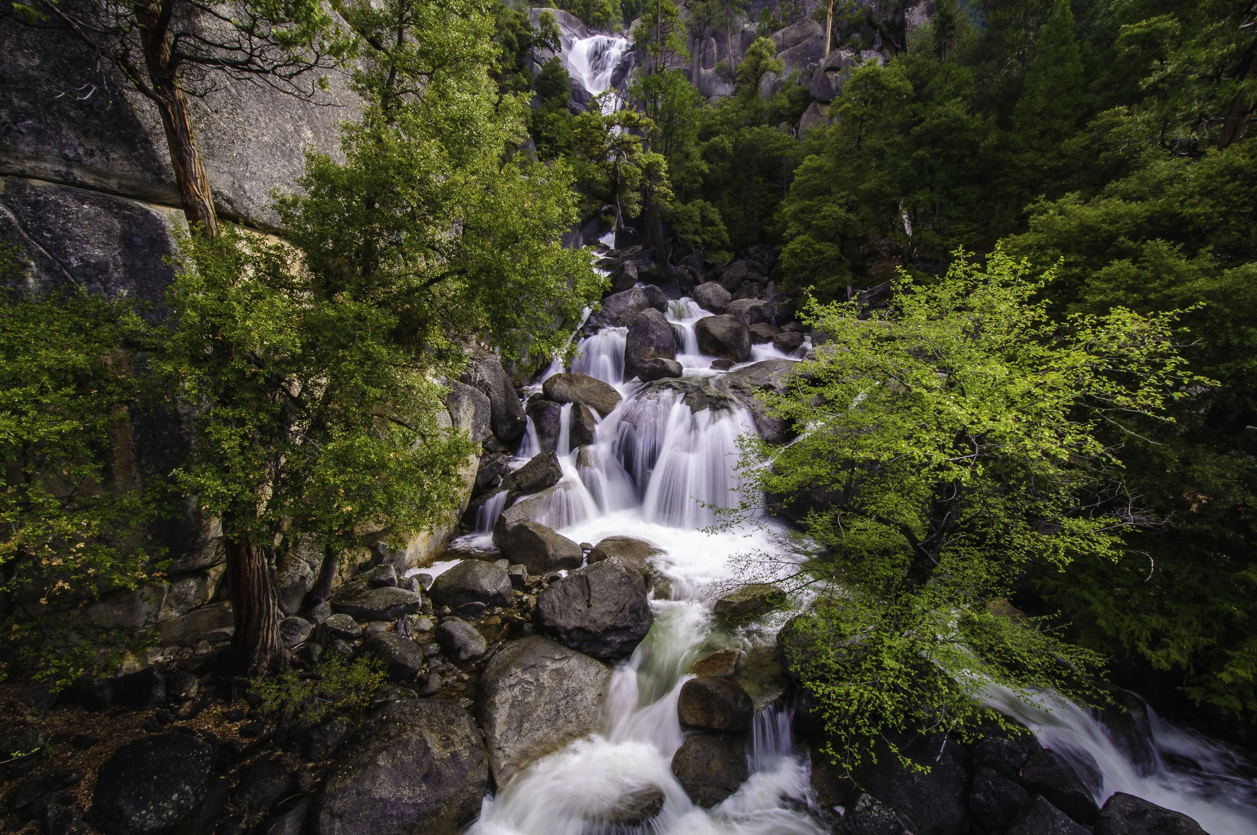 DSC_0651.jpg