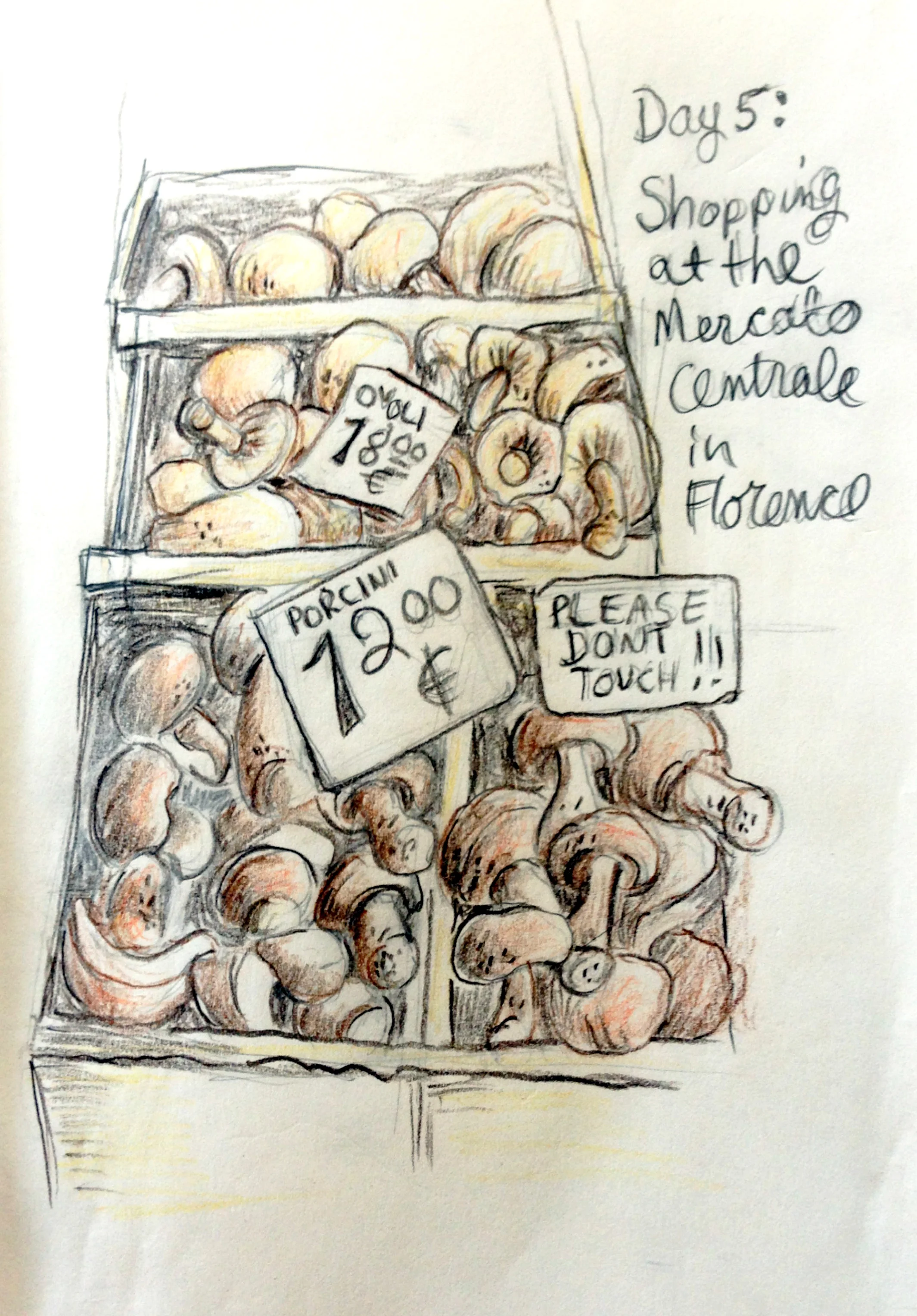 In Florence, day 5 it was raining in the morning. We decided to go to the central market, and it was amazing! Fresh vegetables, fruit, pesto, cheese and hand made sandwiches and bruschetta. I loved these mushrooms! I also decided to try using some color pencils that I had brought along.
