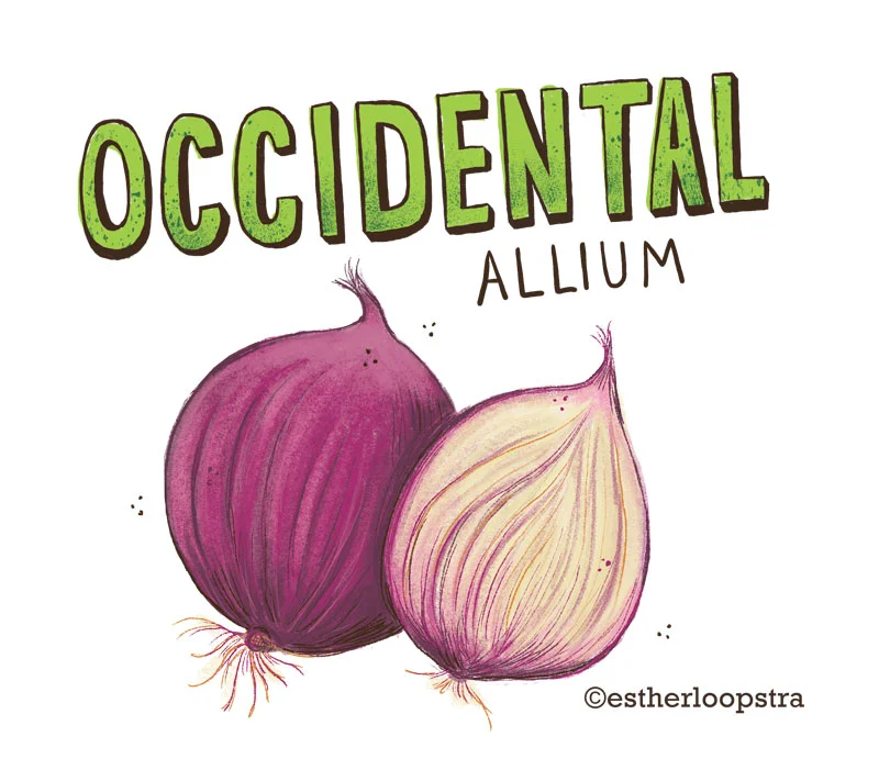 onion.jpg