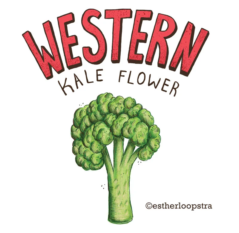 broccoli.jpg