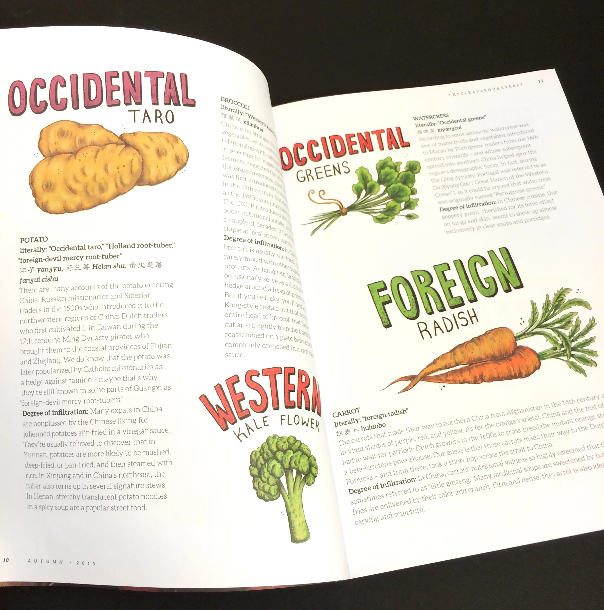 2015-11-09 16.49.48 copy.jpg