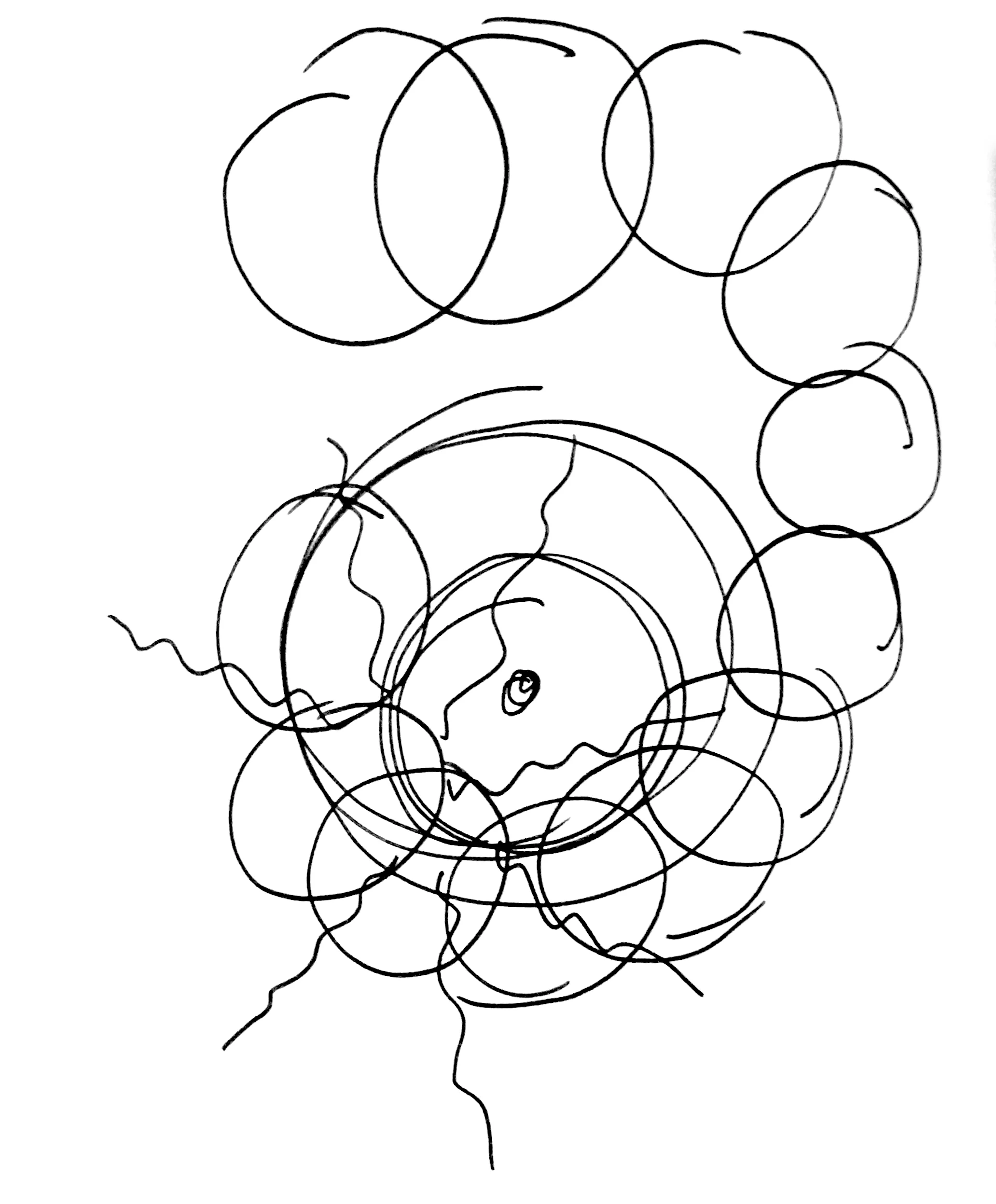 136d54a7-38fd-4fd8-90ea-d08dd1e0ebdb.jpg